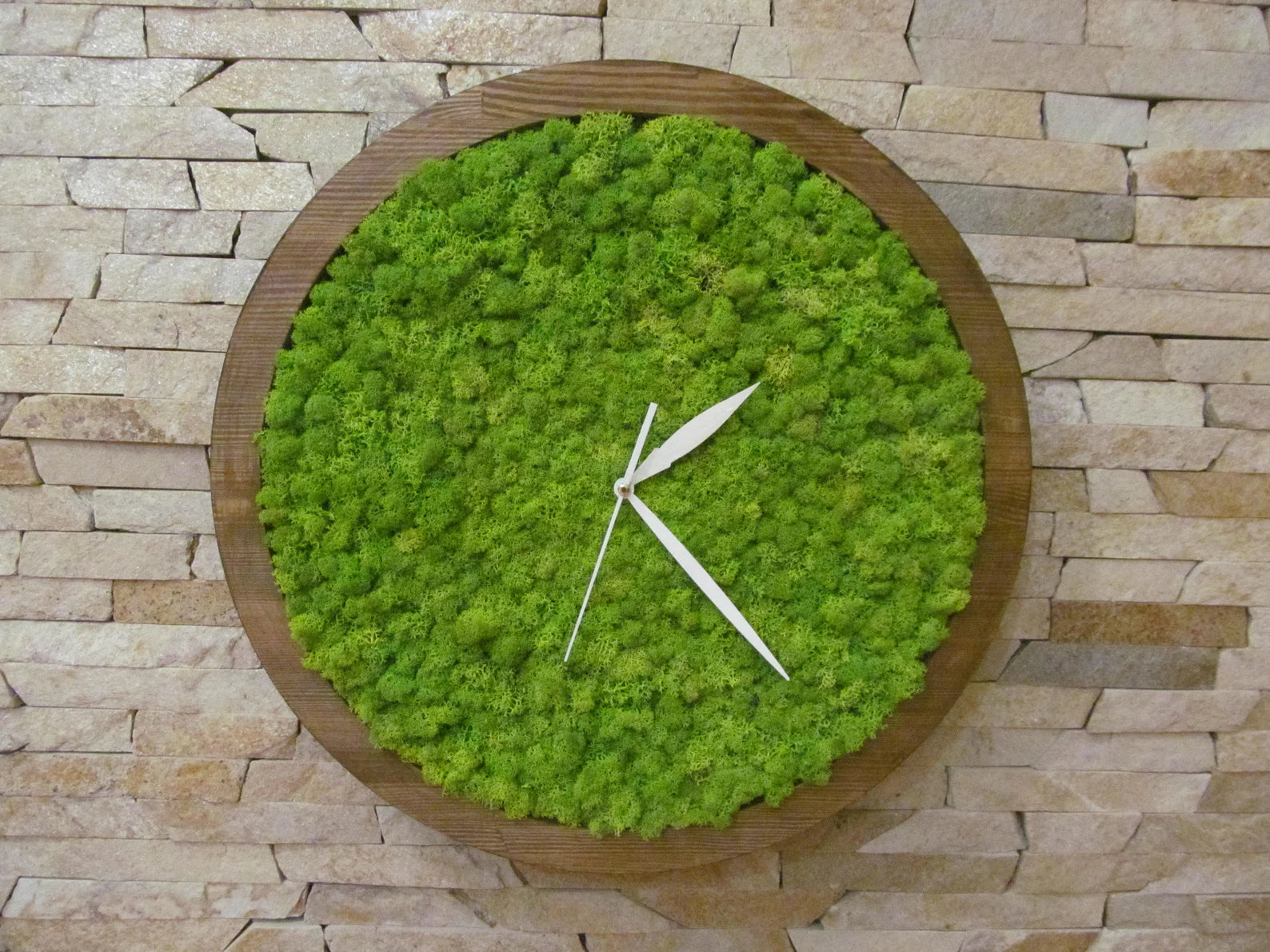 Moss Wall Clock – Wooden Eco Clock with Preserved Green Moss | Modern Home Decor