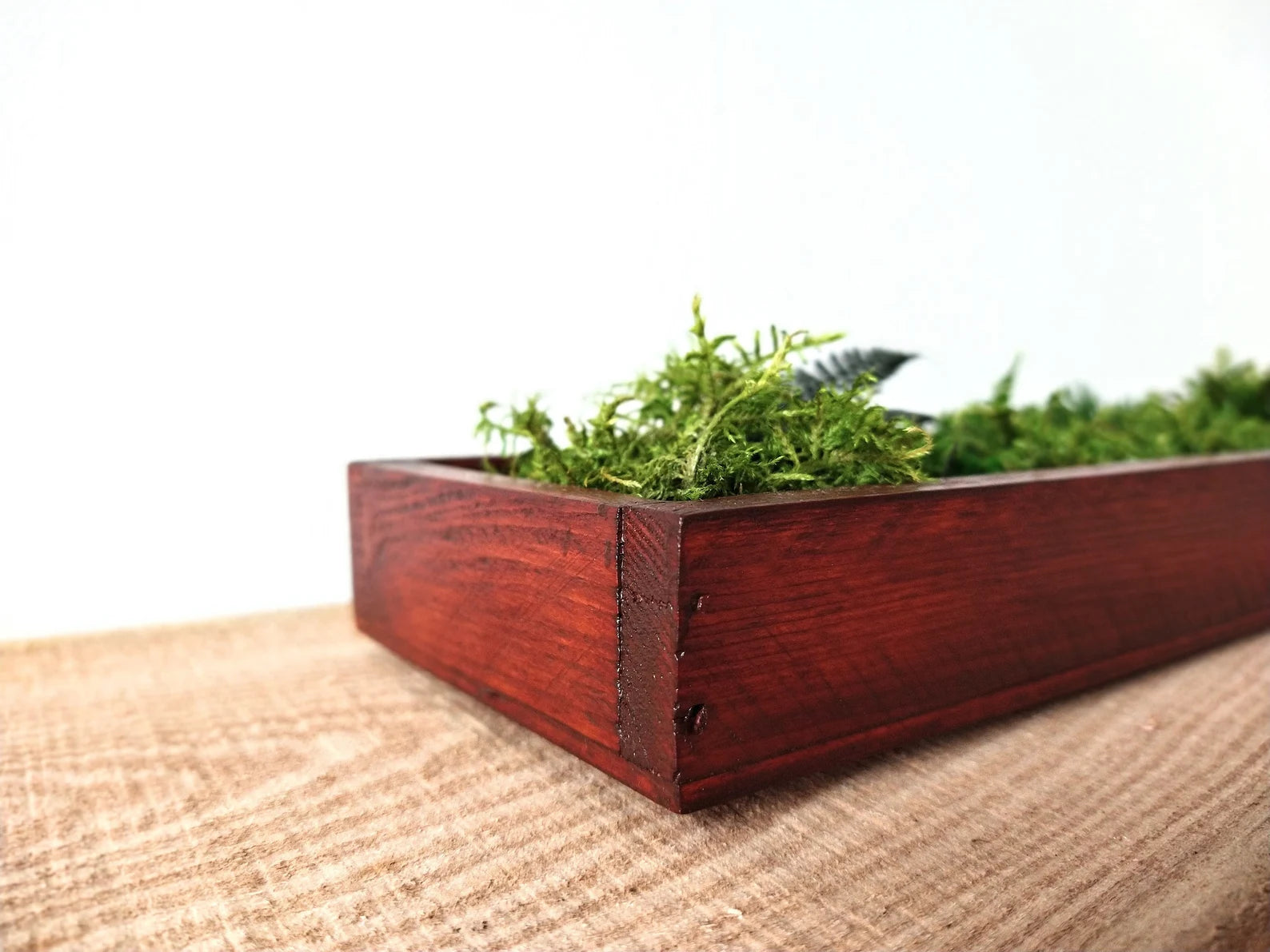 Long Frame Moss Painting – Preserved Green Wall Art | Maintenance-Free Natural Wall Decor