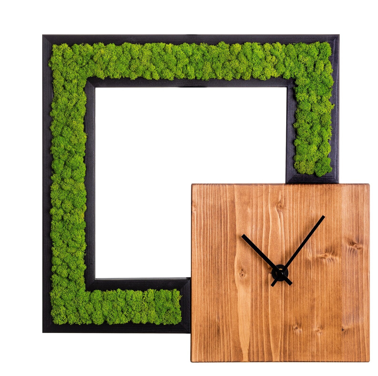 Modern Art Wall Clock – Green Stabilized Moss Decoration