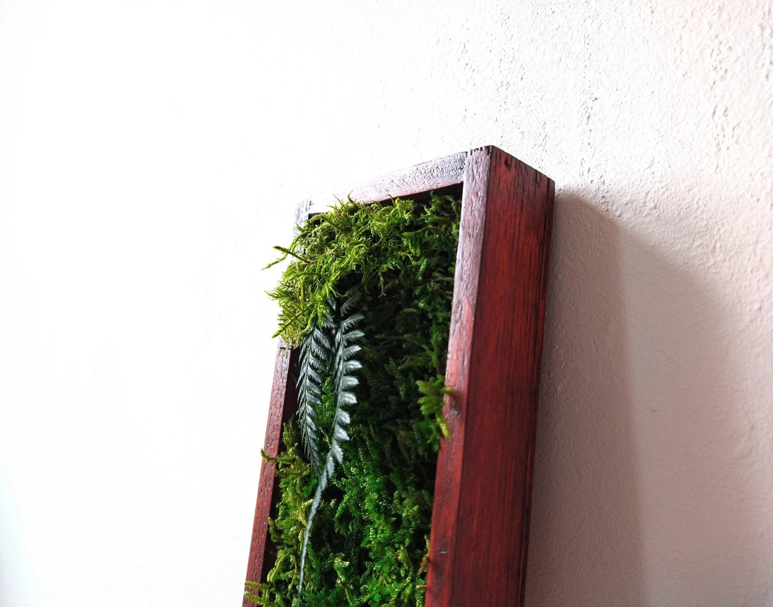 Long Frame Moss Painting – Preserved Green Wall Art | Maintenance-Free Natural Wall Decor