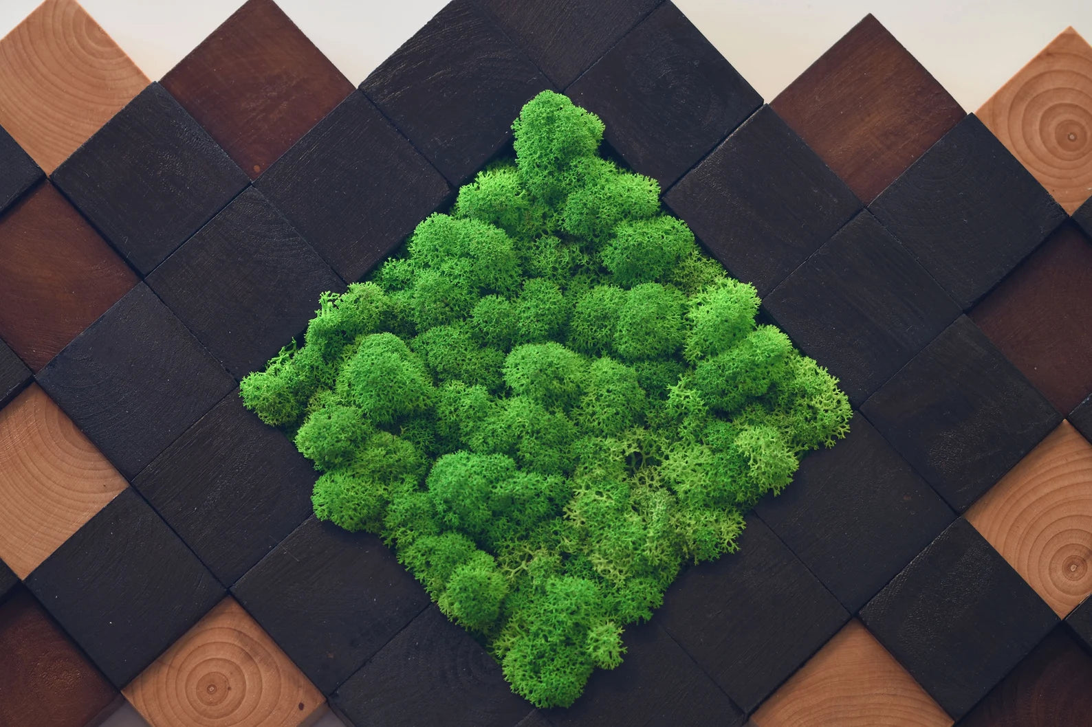 Preserved Moss Wall Art – Handmade Natural Wood Decor | Eco-Friendly Wall Hanging for Home & Office