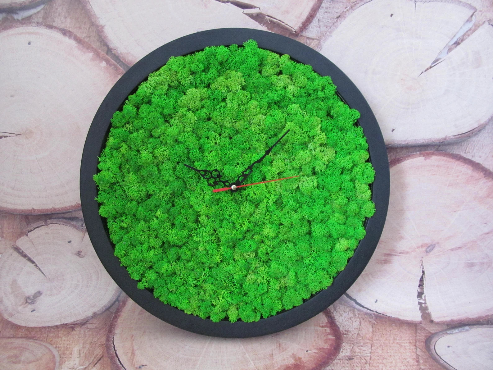 Moss Wall Clock – Wooden Eco Clock with Preserved Green Moss | Modern Home Decor