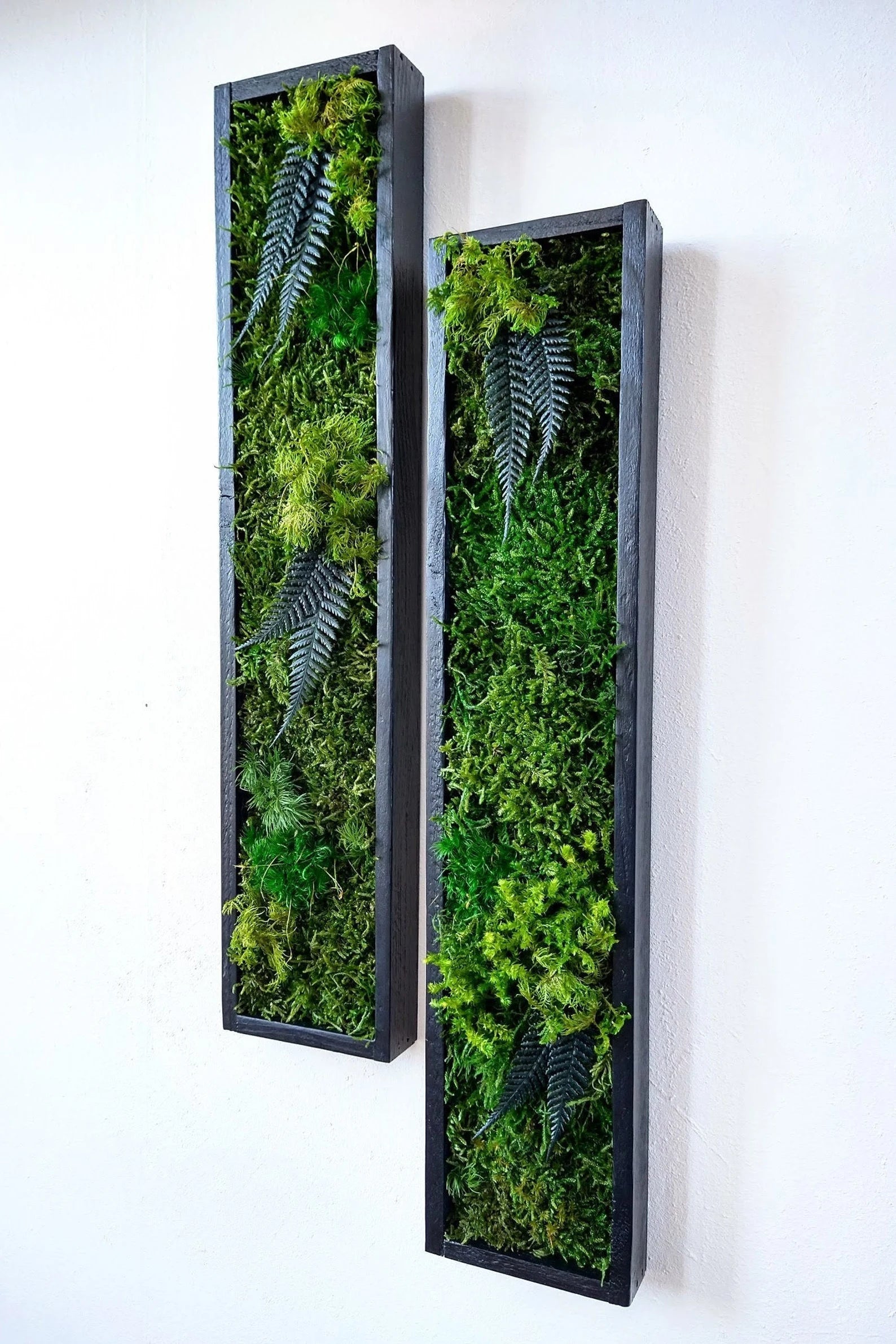 Long Frame Moss Painting – Preserved Green Wall Art | Maintenance-Free Natural Wall Decor