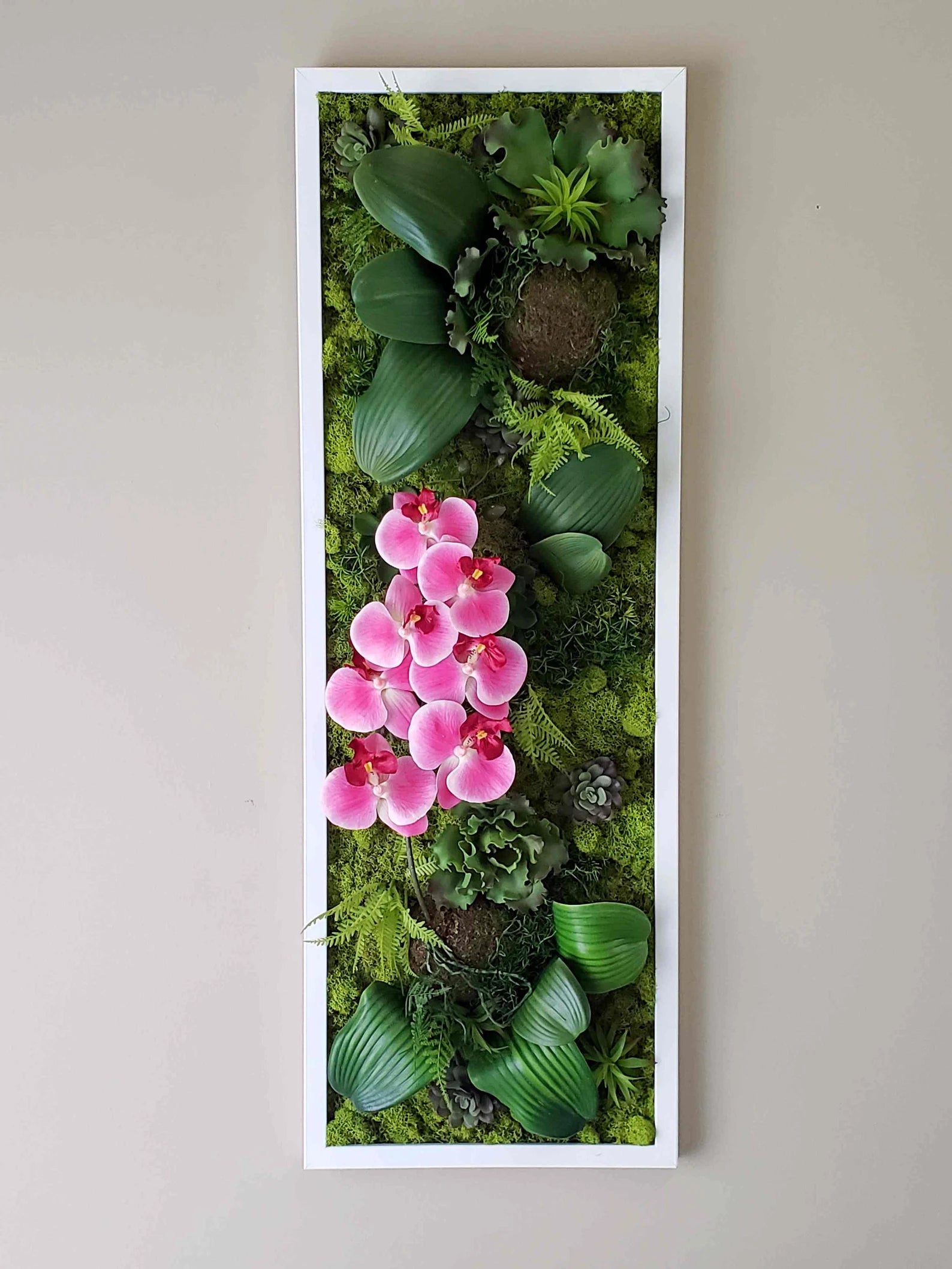 Succulent & Orchid Moss Wall Art – Large Preserved Moss Frame in White, Black, or Gold