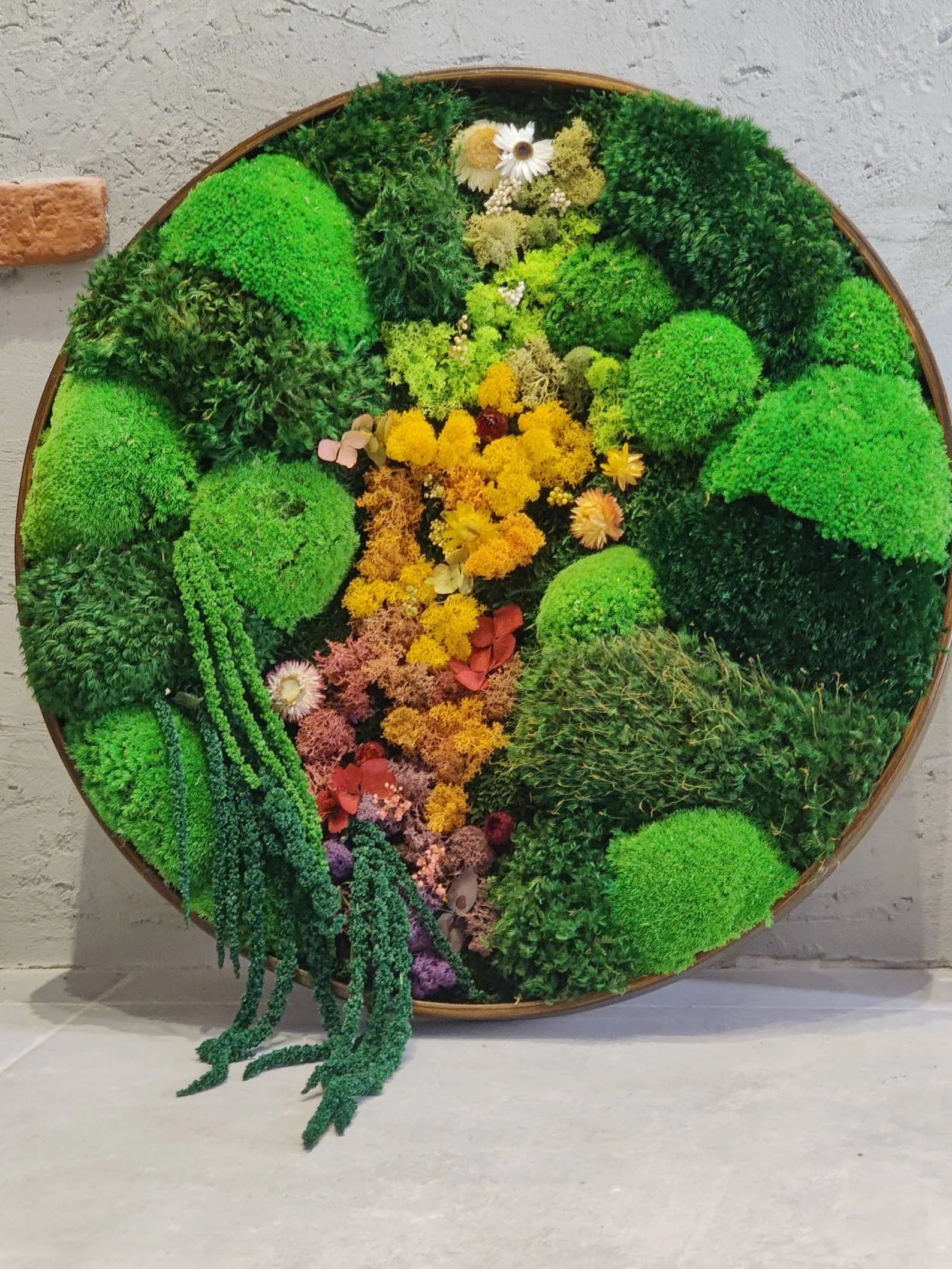 Round Moss Wall Art – Circle Frame Living Moss Decor | Eco-Friendly Home & Mother’s Day Gift