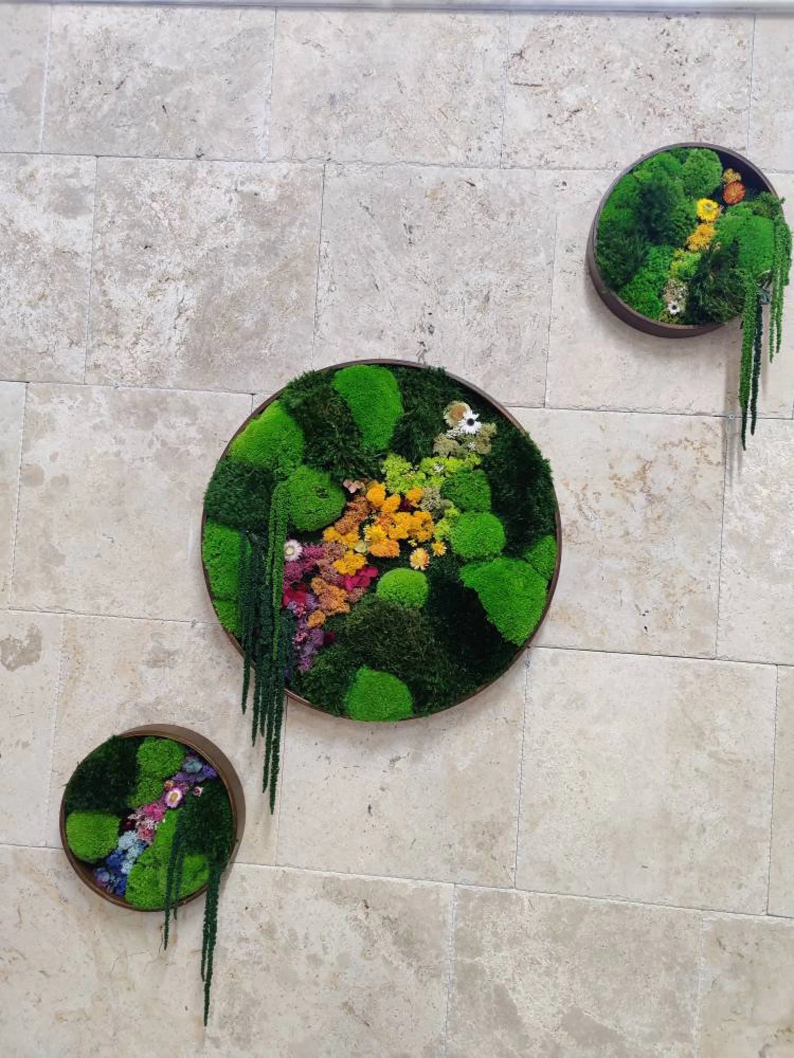 Round Moss Wall Art – Circle Frame Living Moss Decor | Eco-Friendly Home & Mother’s Day Gift