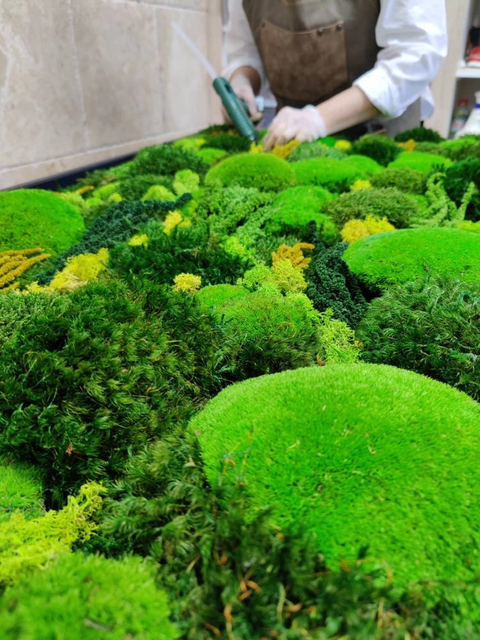 Eco-Friendly Moss Wall Art – Handmade Preserved Green Wall Decor