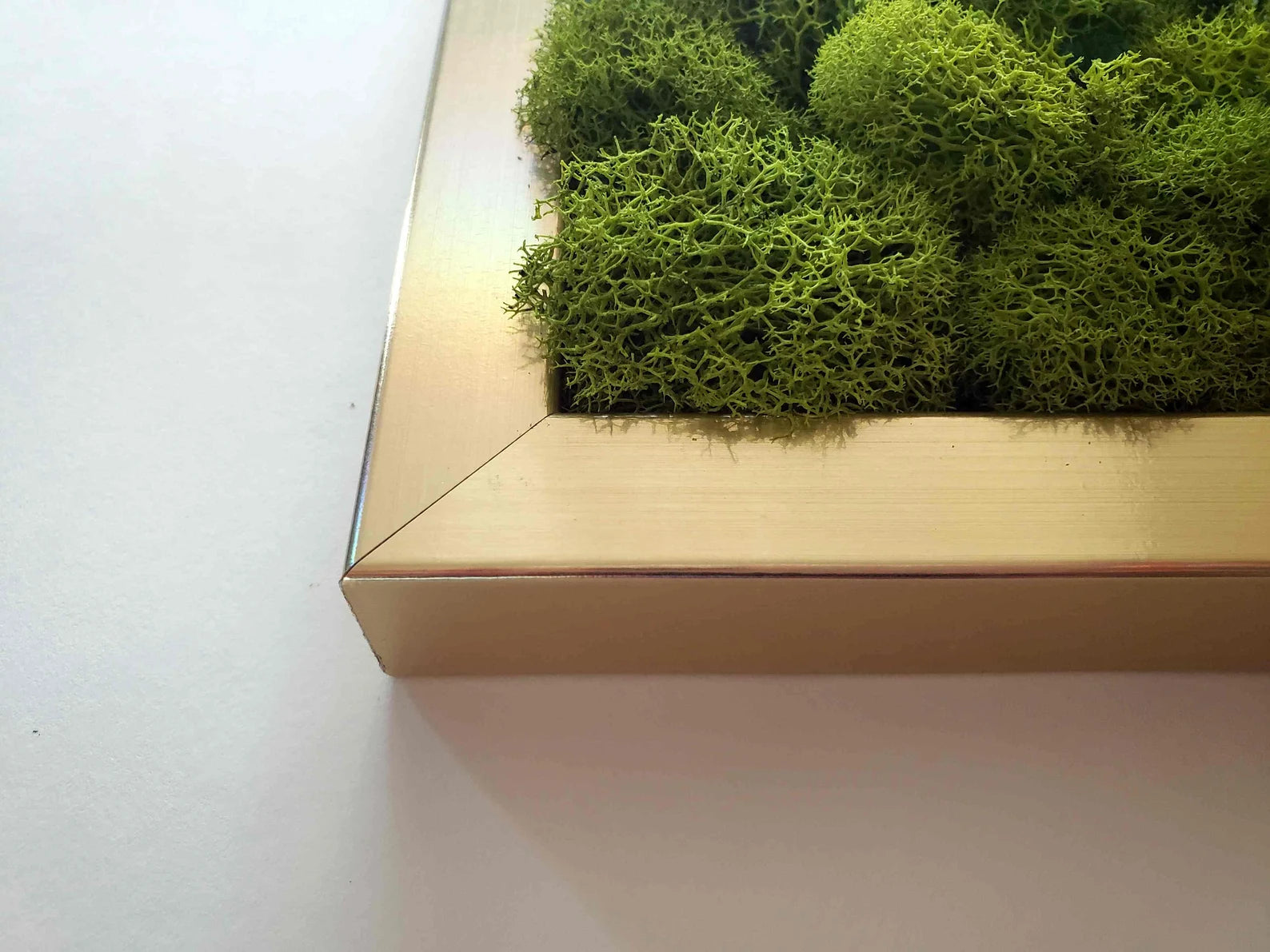 Succulent & Orchid Moss Wall Art – Large Preserved Moss Frame in White, Black, or Gold