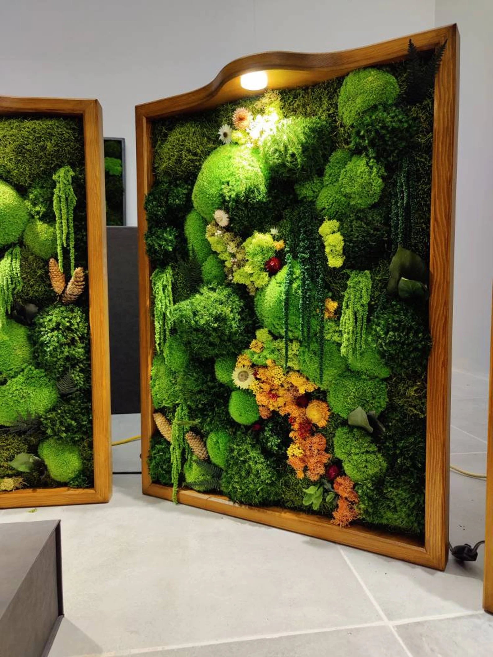 Illuminated Moss Wall Art – LED Preserved Moss Frame | Modern Nature-Inspired Decor