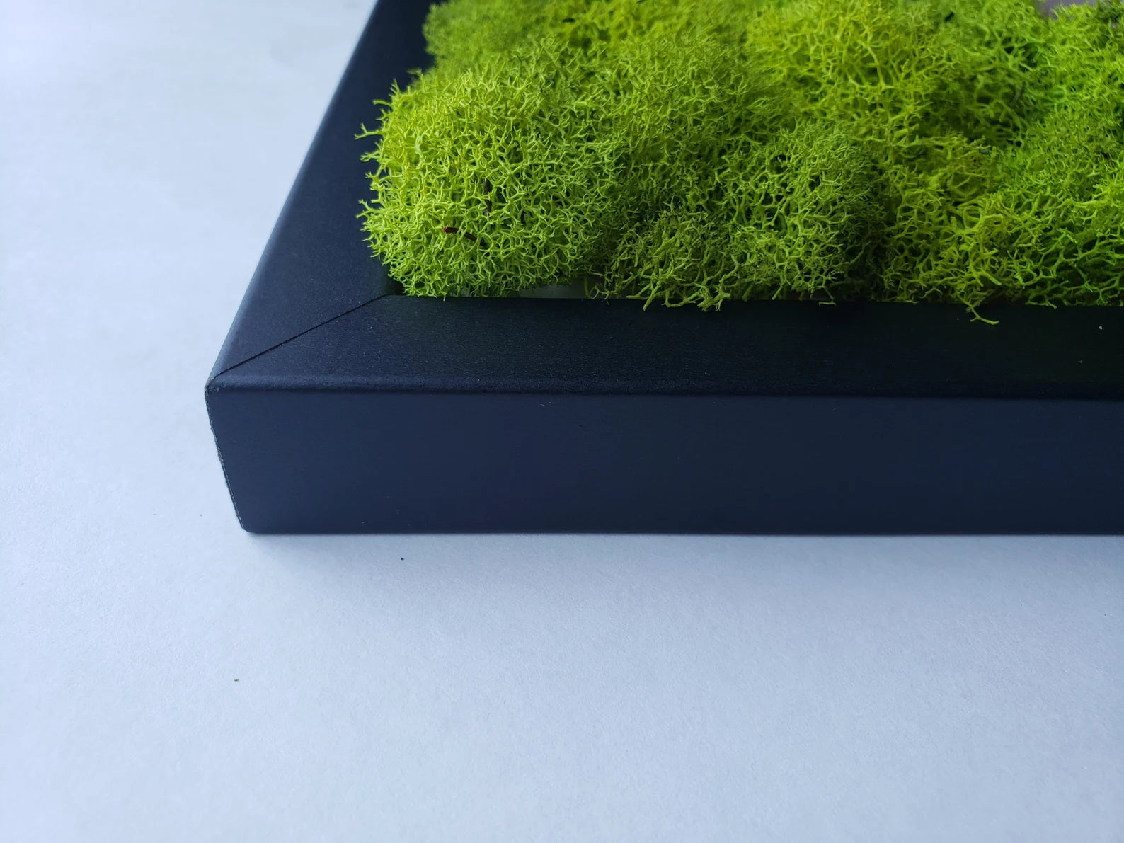 Succulent & Orchid Moss Wall Art – Large Preserved Moss Frame in White, Black, or Gold