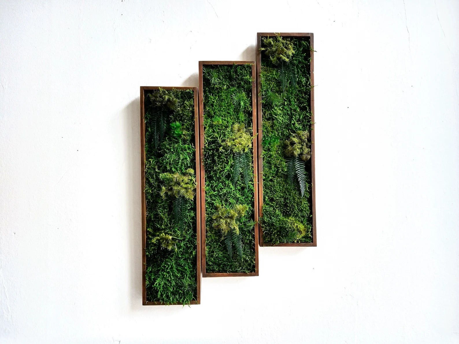 Long Frame Moss Painting – Preserved Green Wall Art | Maintenance-Free Natural Wall Decor