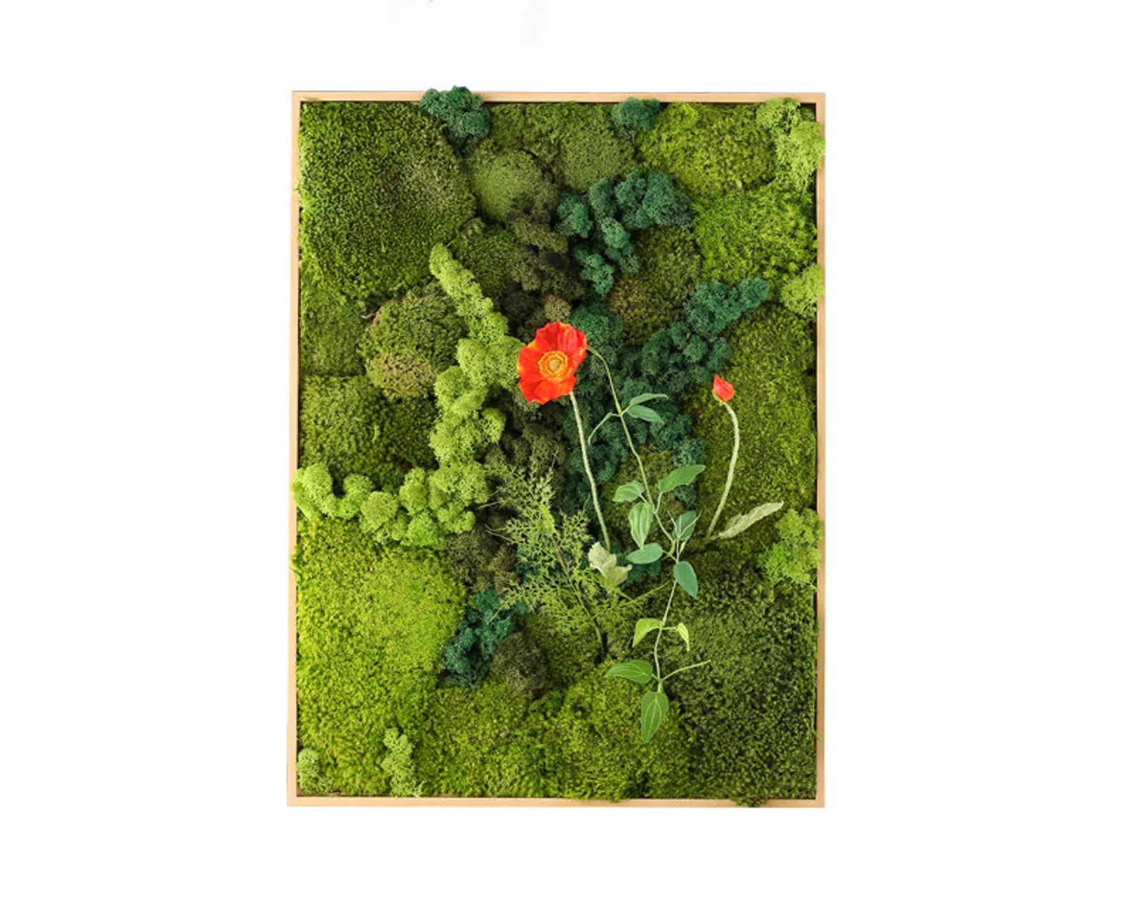 Preserved Moss Wall Art – Vertical Eco Panel for Sustainable Home Decor