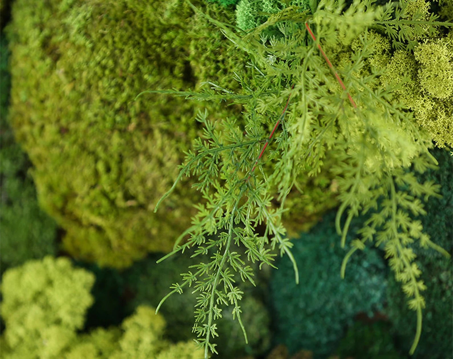 Preserved Moss Wall Art – Vertical Eco Panel for Sustainable Home Decor