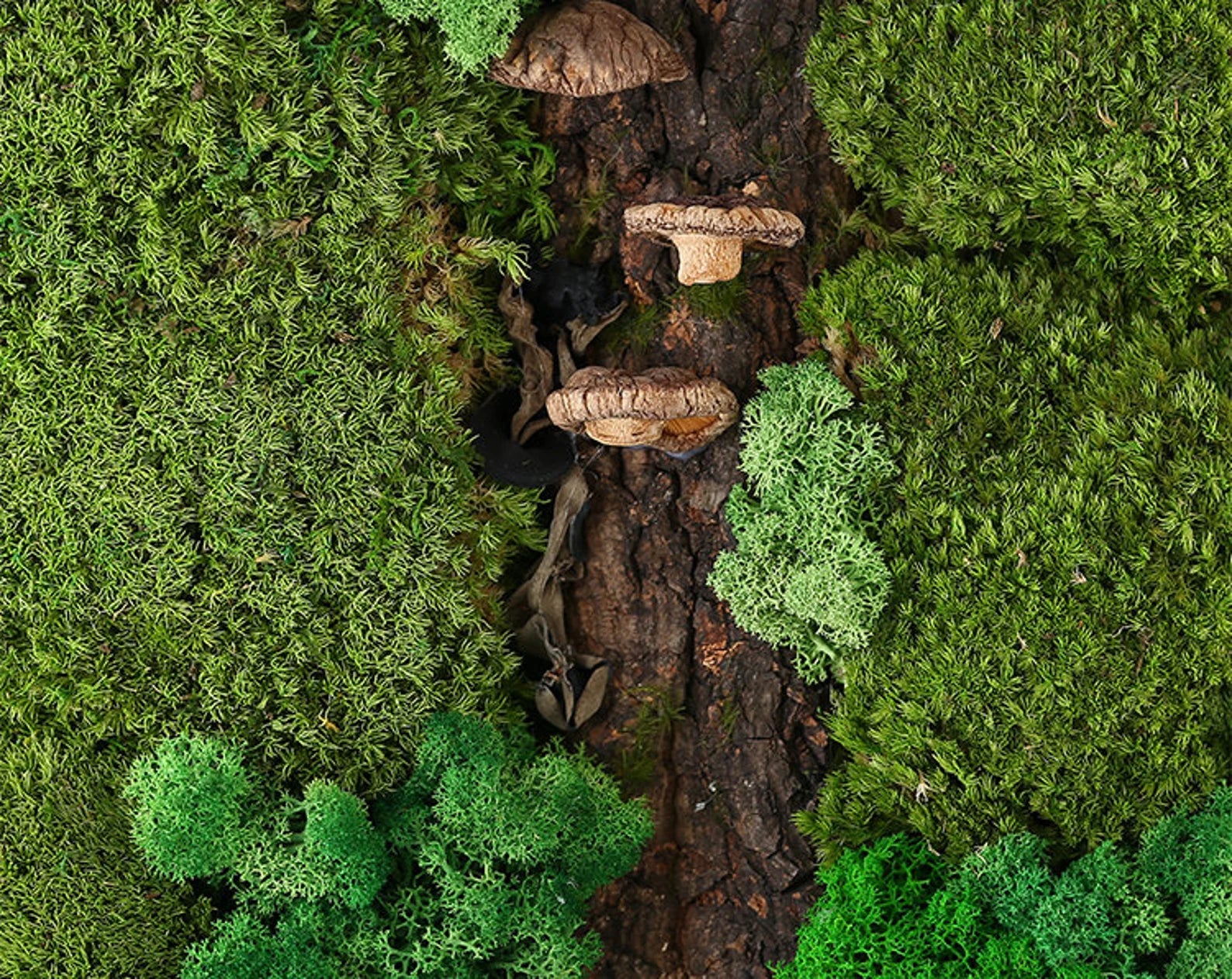 Preserved Moss Wall Art – Vertical Eco Panel for Sustainable Home Decor