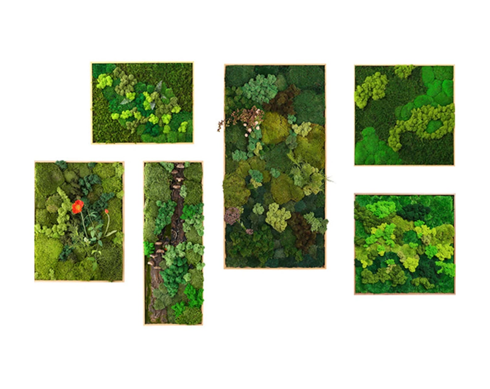 Preserved Moss Wall Art – Vertical Eco Panel for Sustainable Home Decor