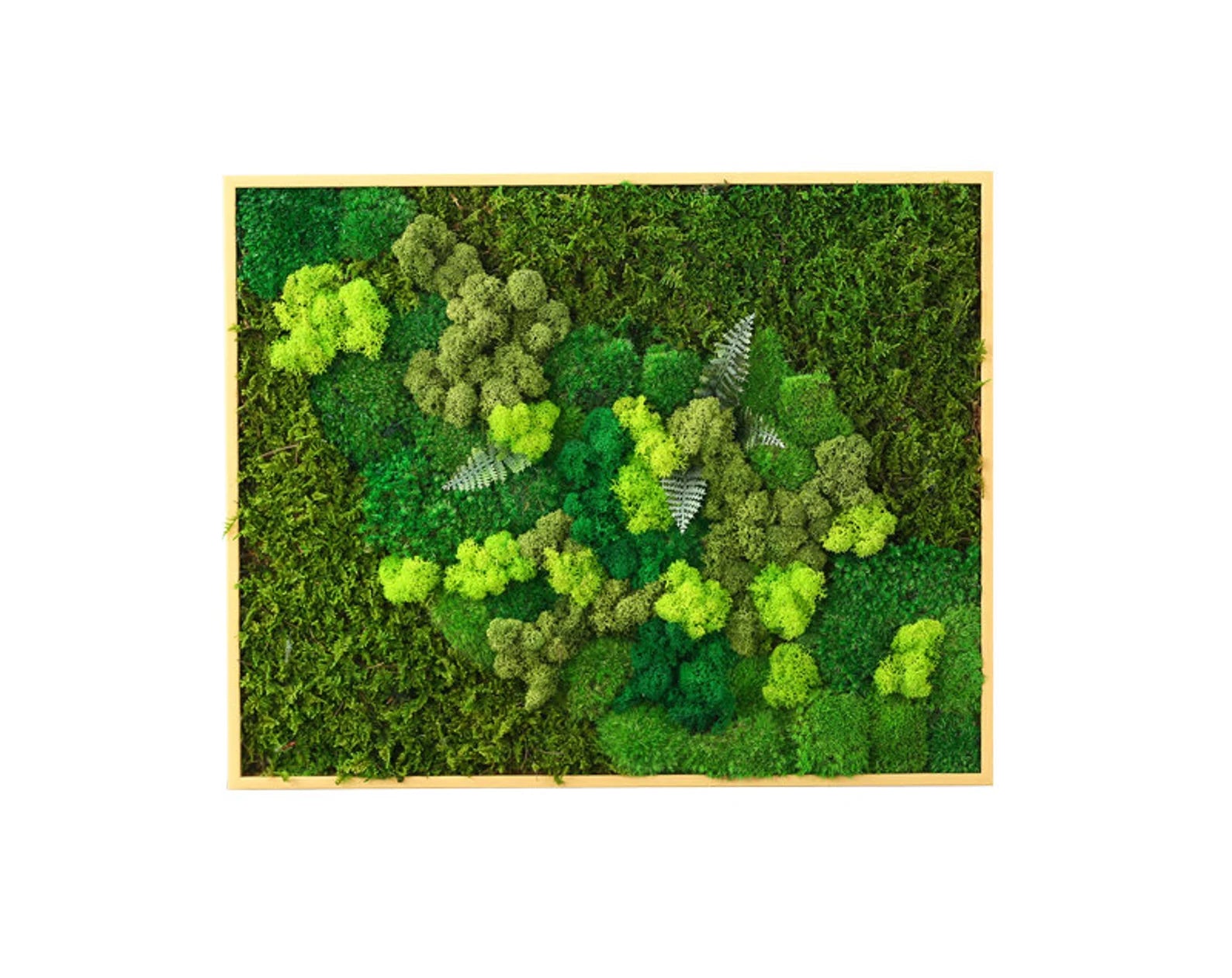 Preserved Moss Wall Art – Vertical Eco Panel for Sustainable Home Decor