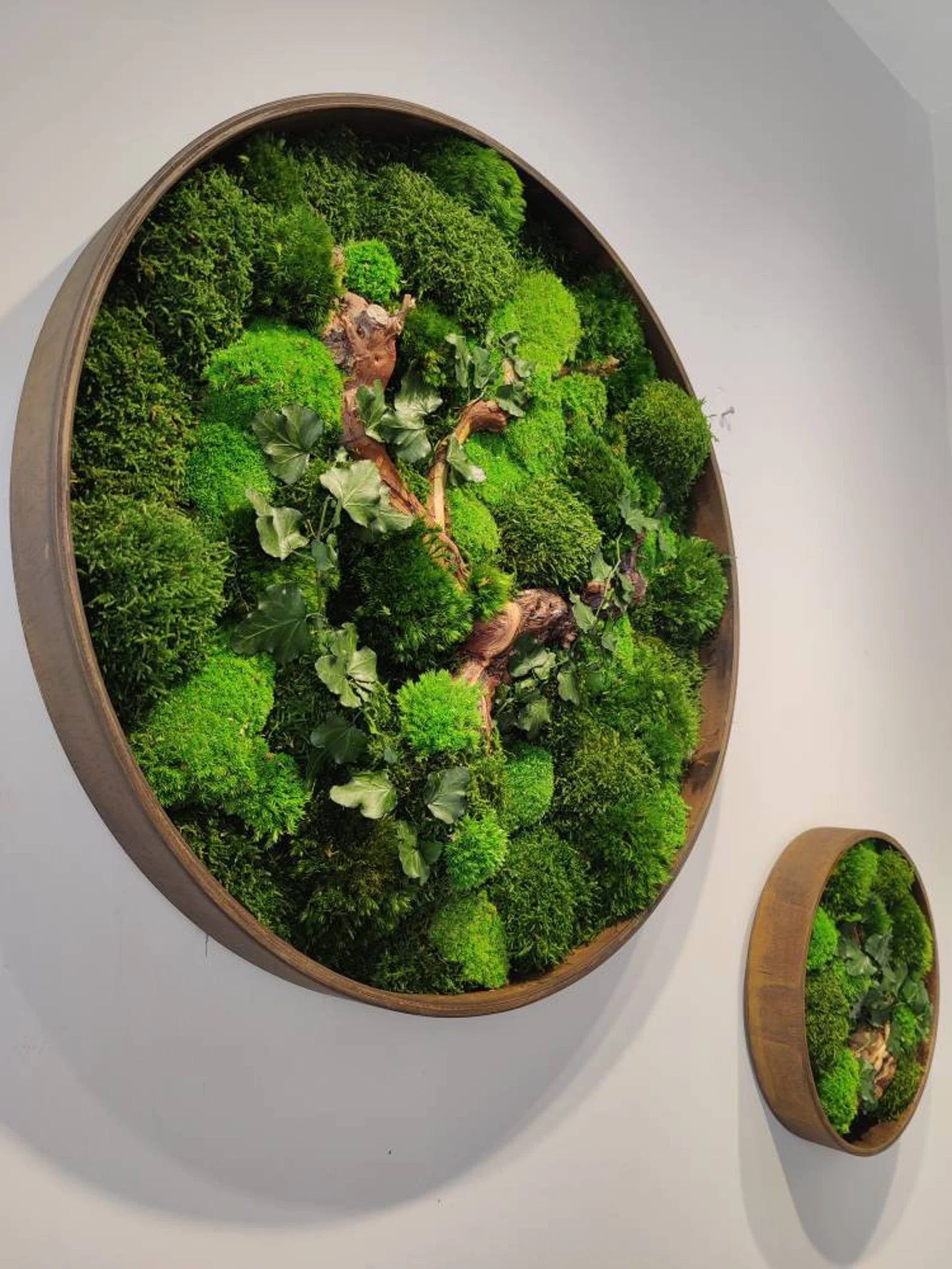 Round Moss Wall Art – Handmade Preserved Green Decor | Eco-Friendly Botanical Accent Frame