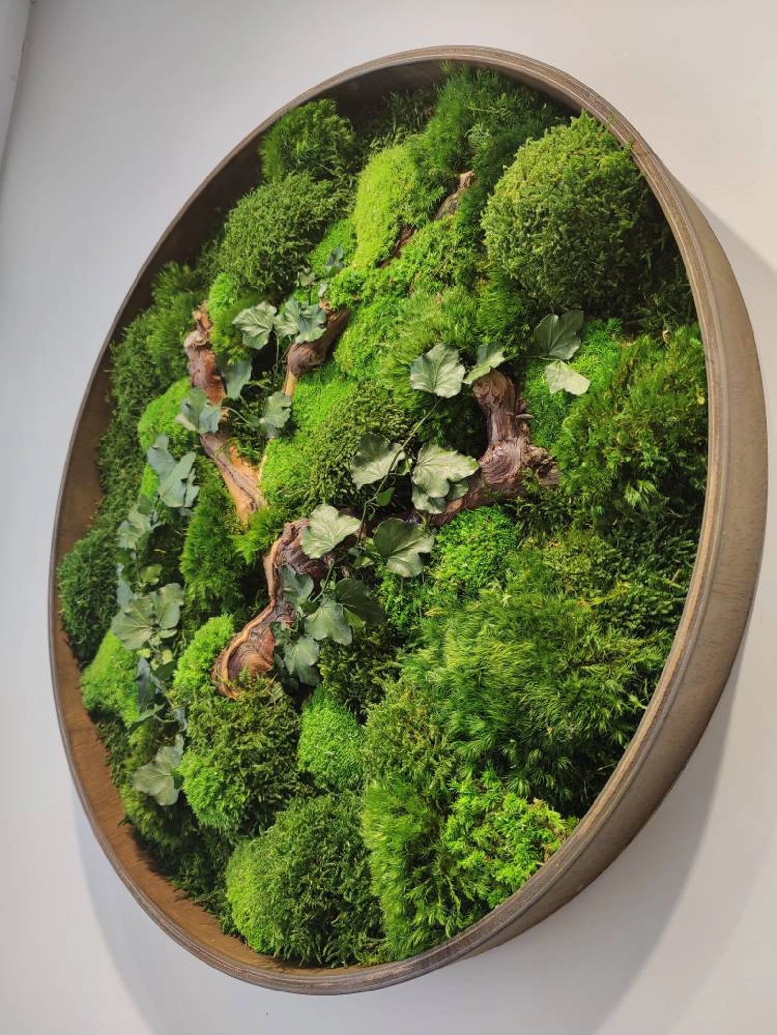 Round Moss Wall Art – Handmade Preserved Green Decor | Eco-Friendly Botanical Accent Frame