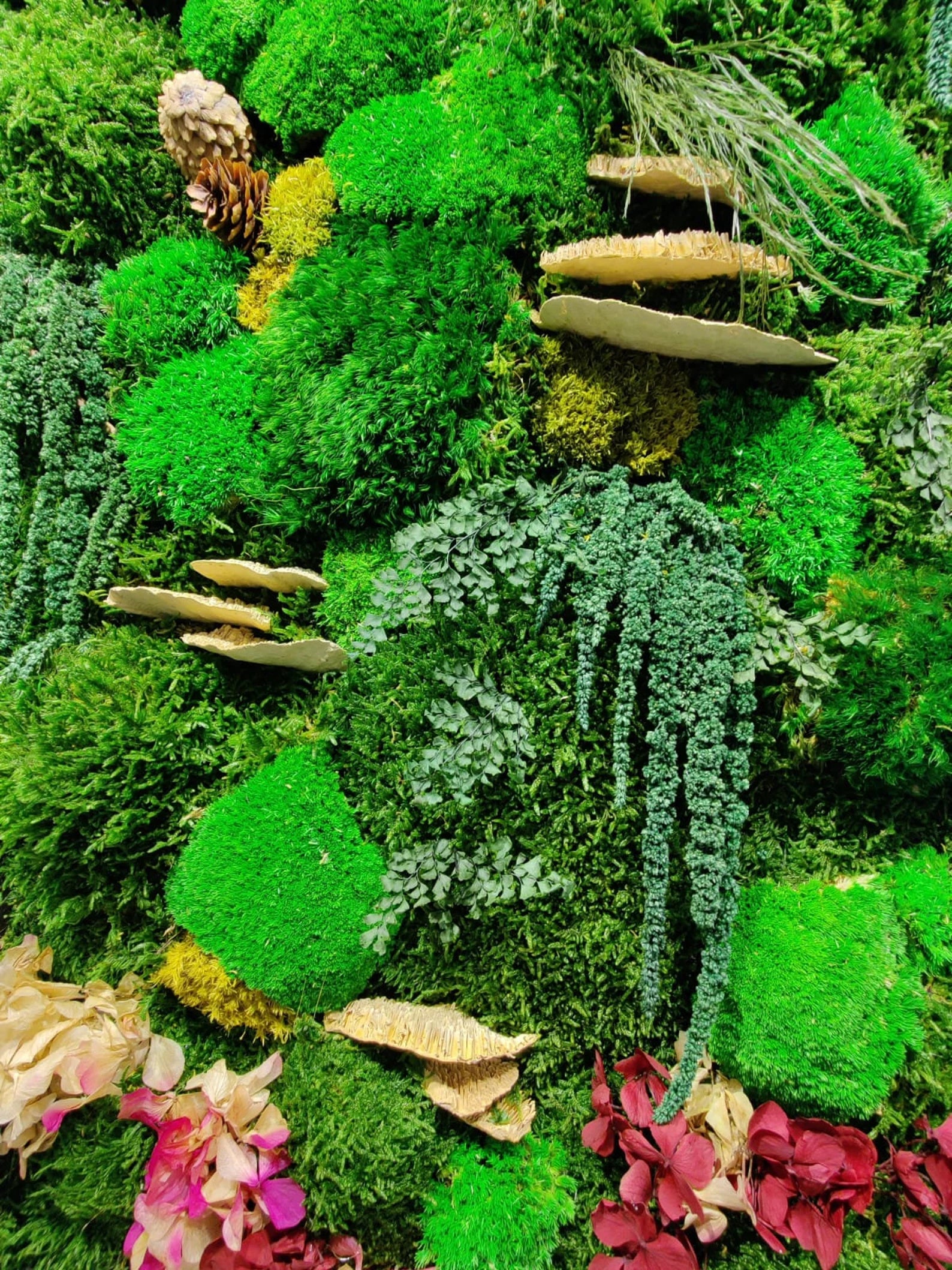 Preserved Moss Wall Art – Single to Six Sets, Eco-Friendly Green Home Decor