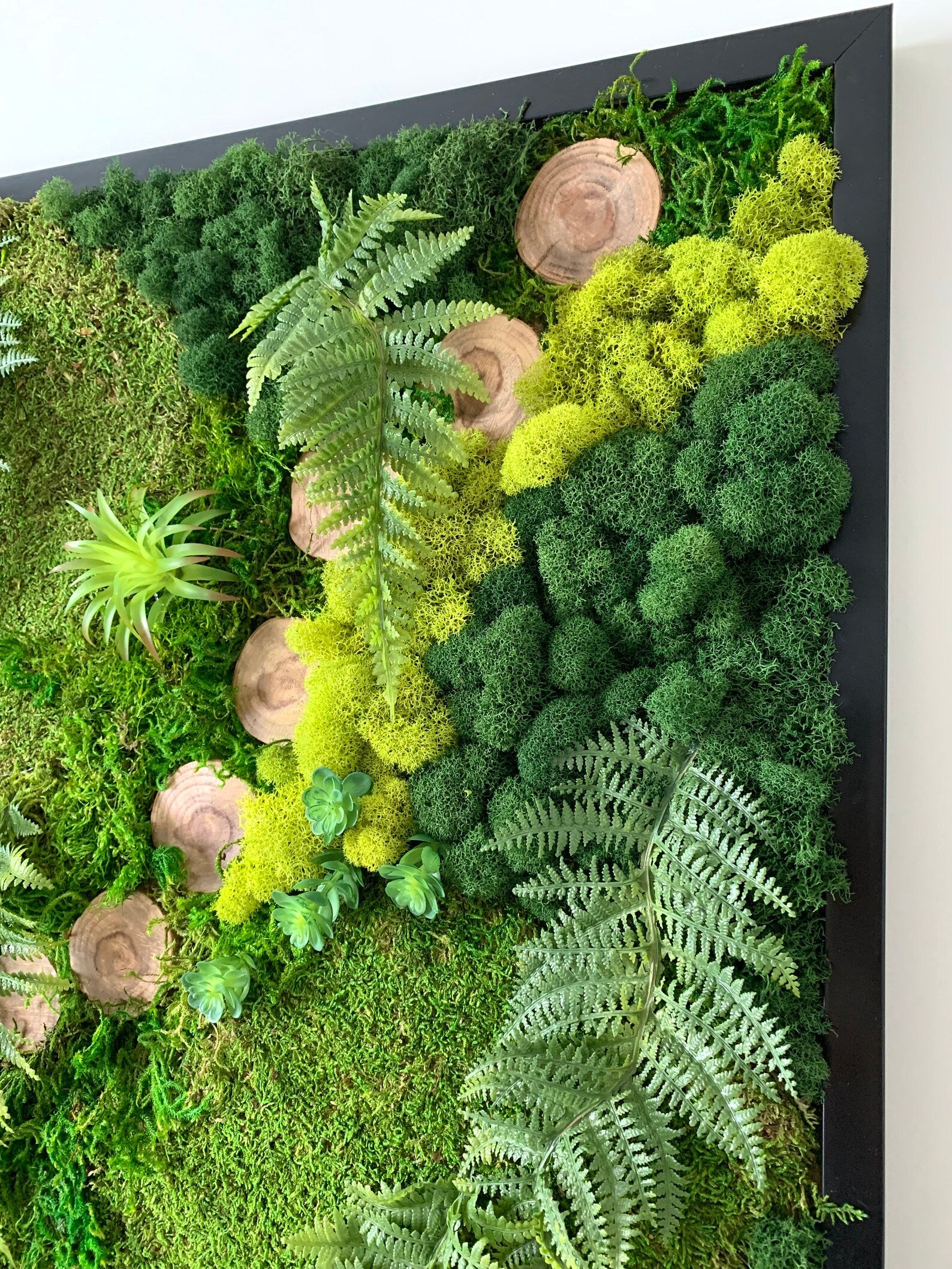 Moss Wall Art 32x24 – Preserved Vertical Garden, No Maintenance Green Wall