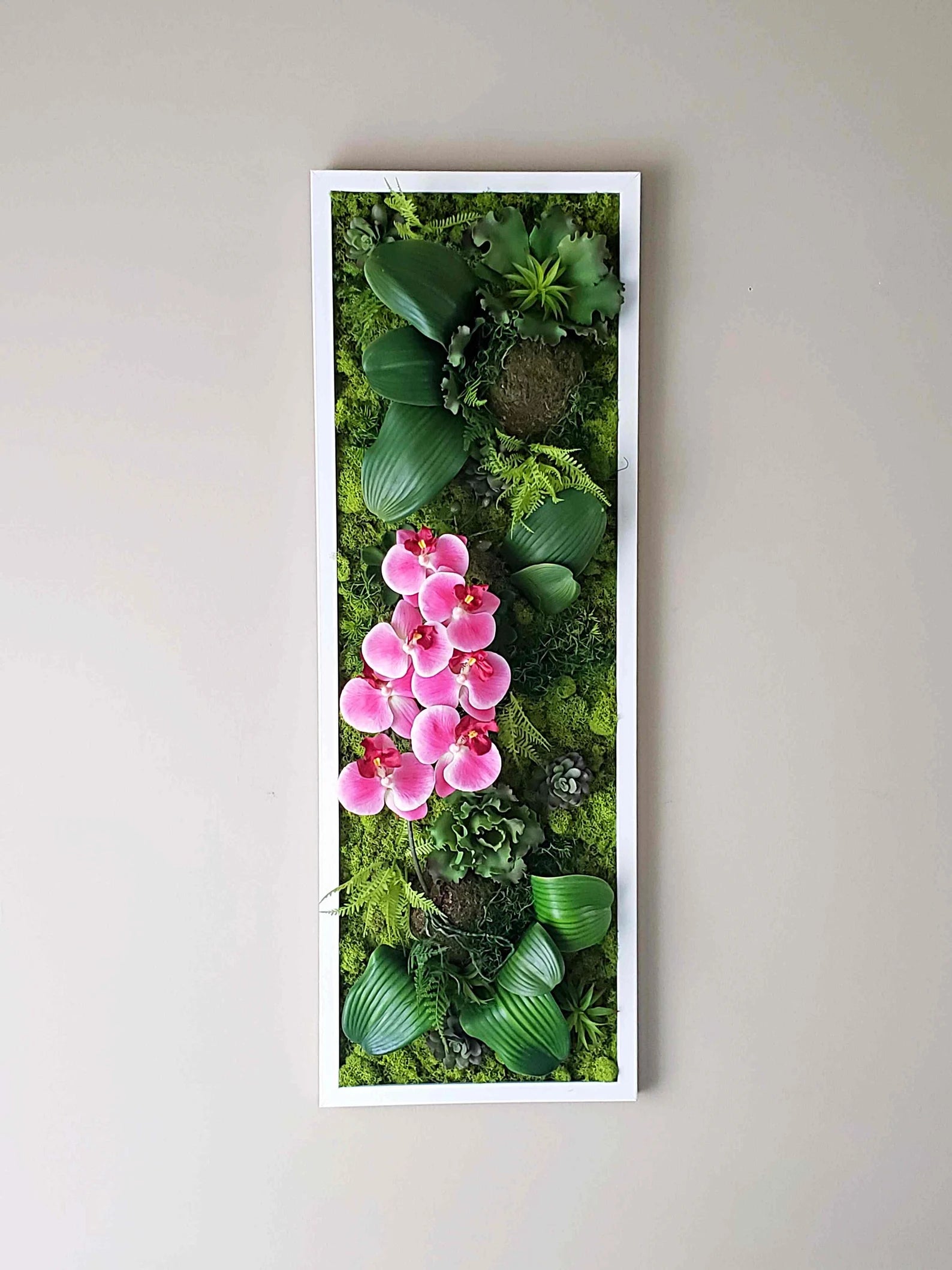 Succulent & Orchid Moss Wall Art – Large Preserved Moss Frame in White, Black, or Gold