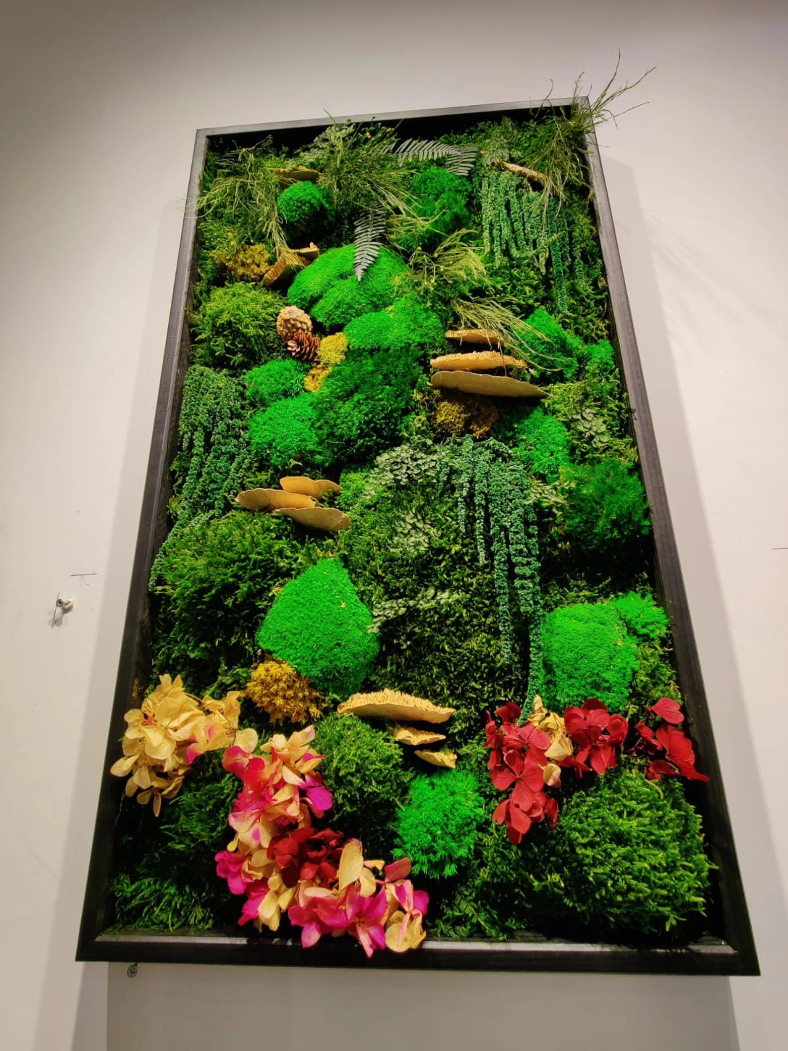 Preserved Moss Wall Art – Single to Six Sets, Eco-Friendly Green Home Decor