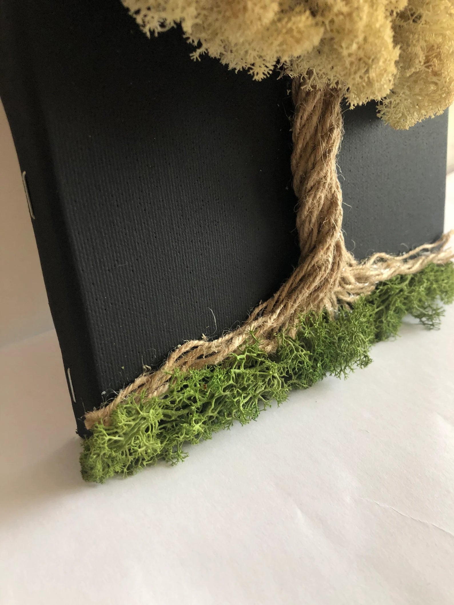 Calming Preserved Moss Wall Art: Nature Decor & Unique Gift for Plant Lovers