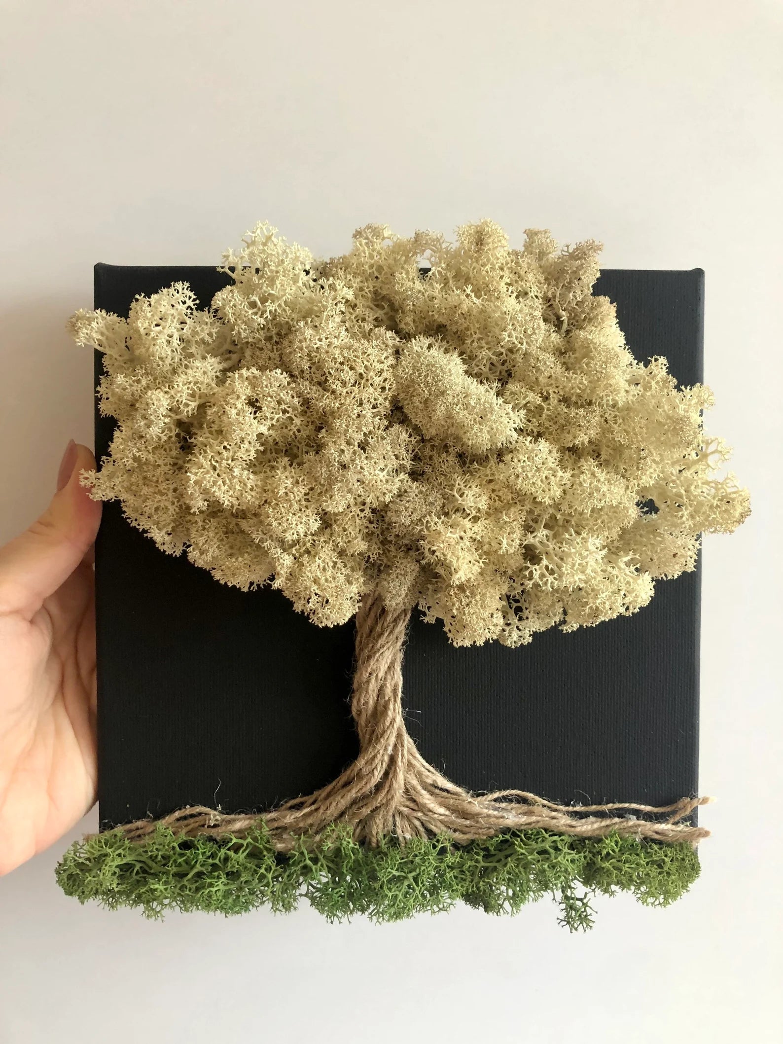 Calming Preserved Moss Wall Art: Nature Decor & Unique Gift for Plant Lovers
