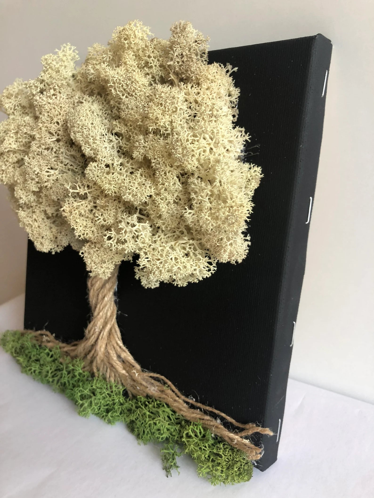 Calming Preserved Moss Wall Art: Nature Decor & Unique Gift for Plant Lovers