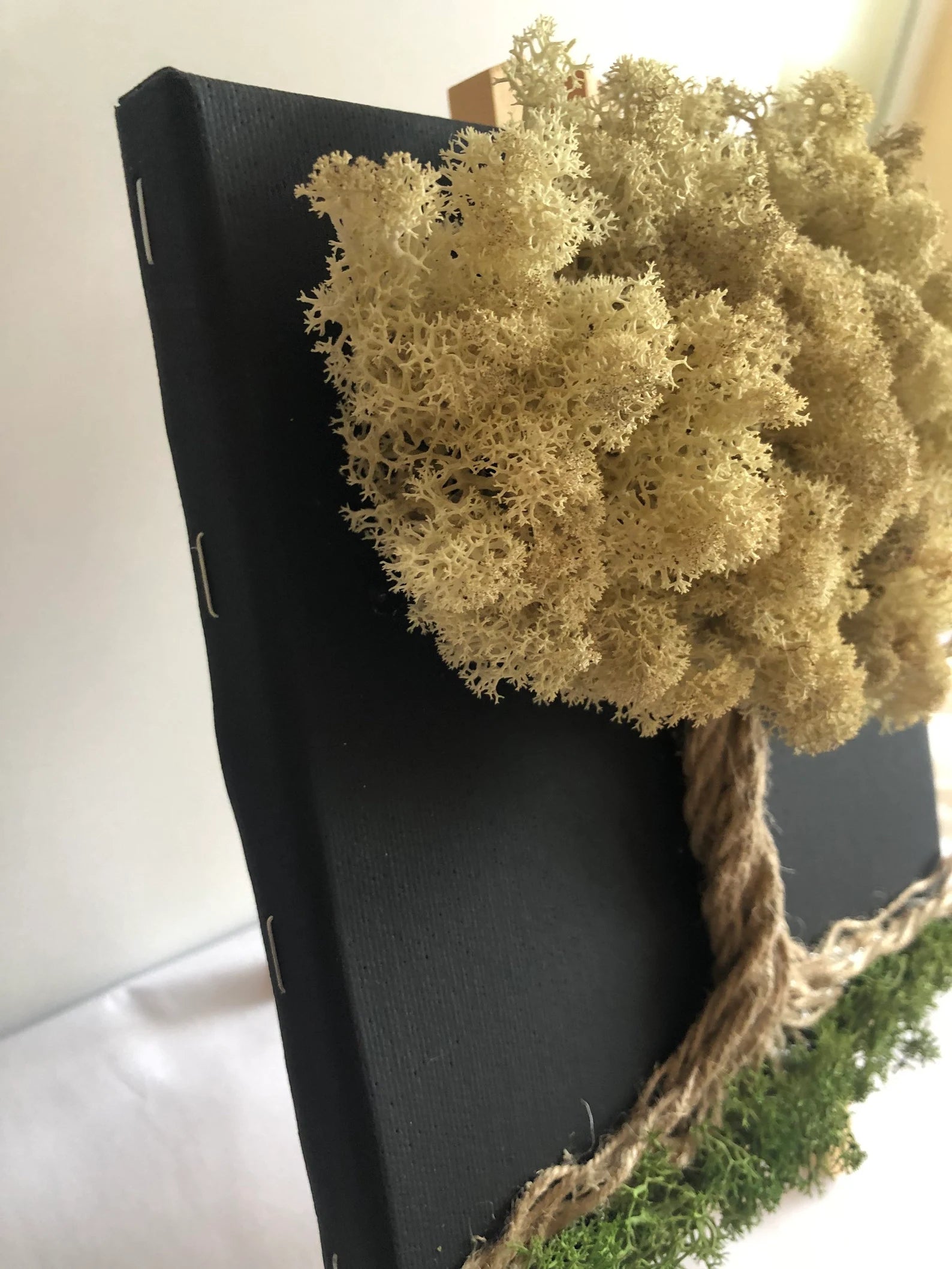 Calming Preserved Moss Wall Art: Nature Decor & Unique Gift for Plant Lovers