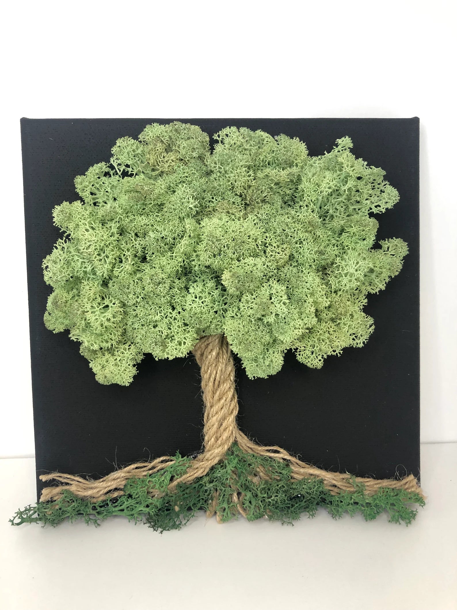 Calming Preserved Moss Wall Art: Nature Decor & Unique Gift for Plant Lovers