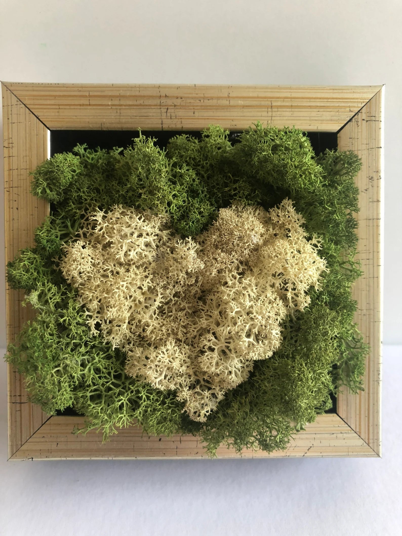 White Heart Moss Wall Art – Framed Preserved Reindeer Moss Décor, Unique Gift for Her
