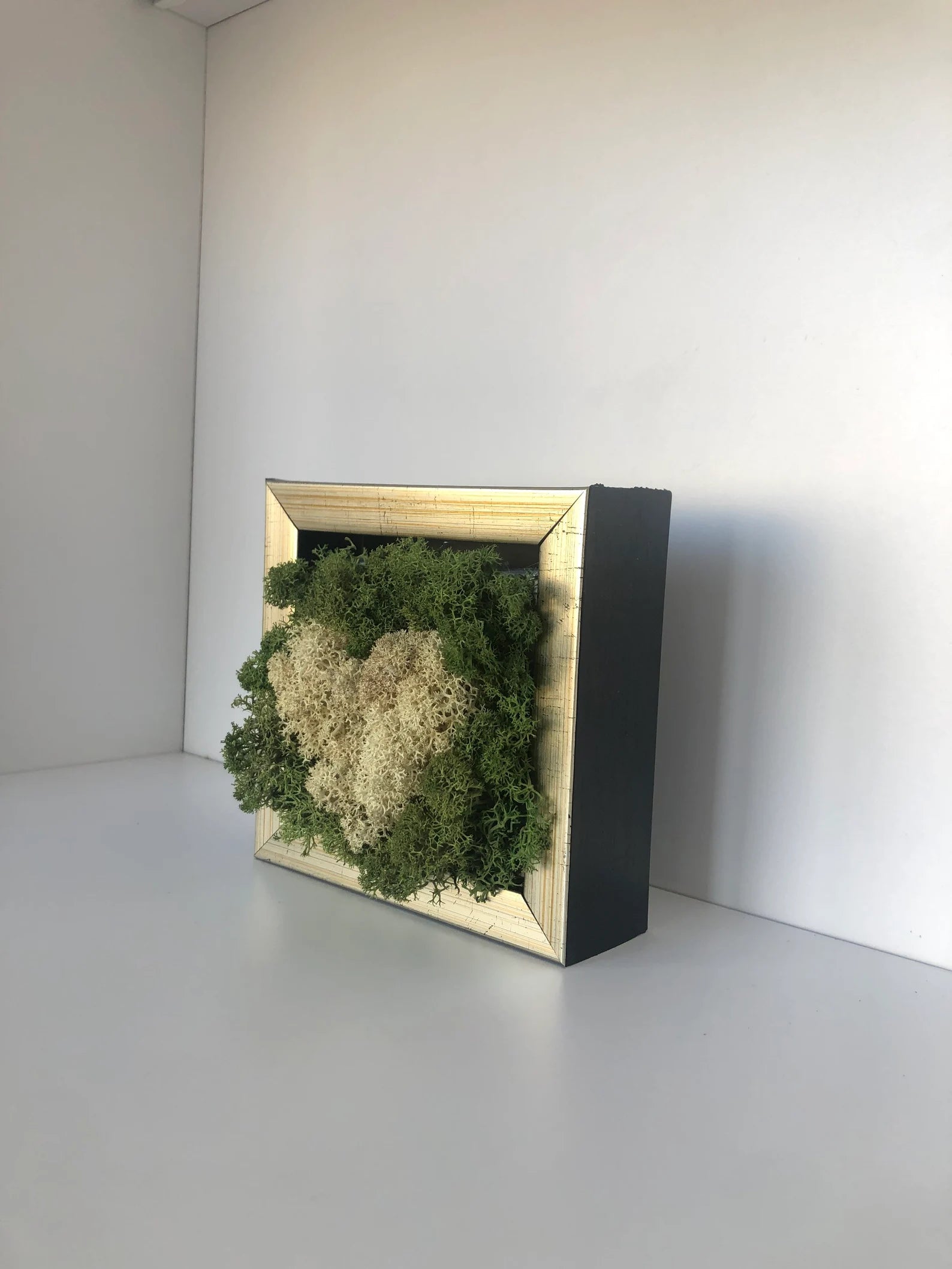 White Heart Moss Wall Art – Framed Preserved Reindeer Moss Décor, Unique Gift for Her