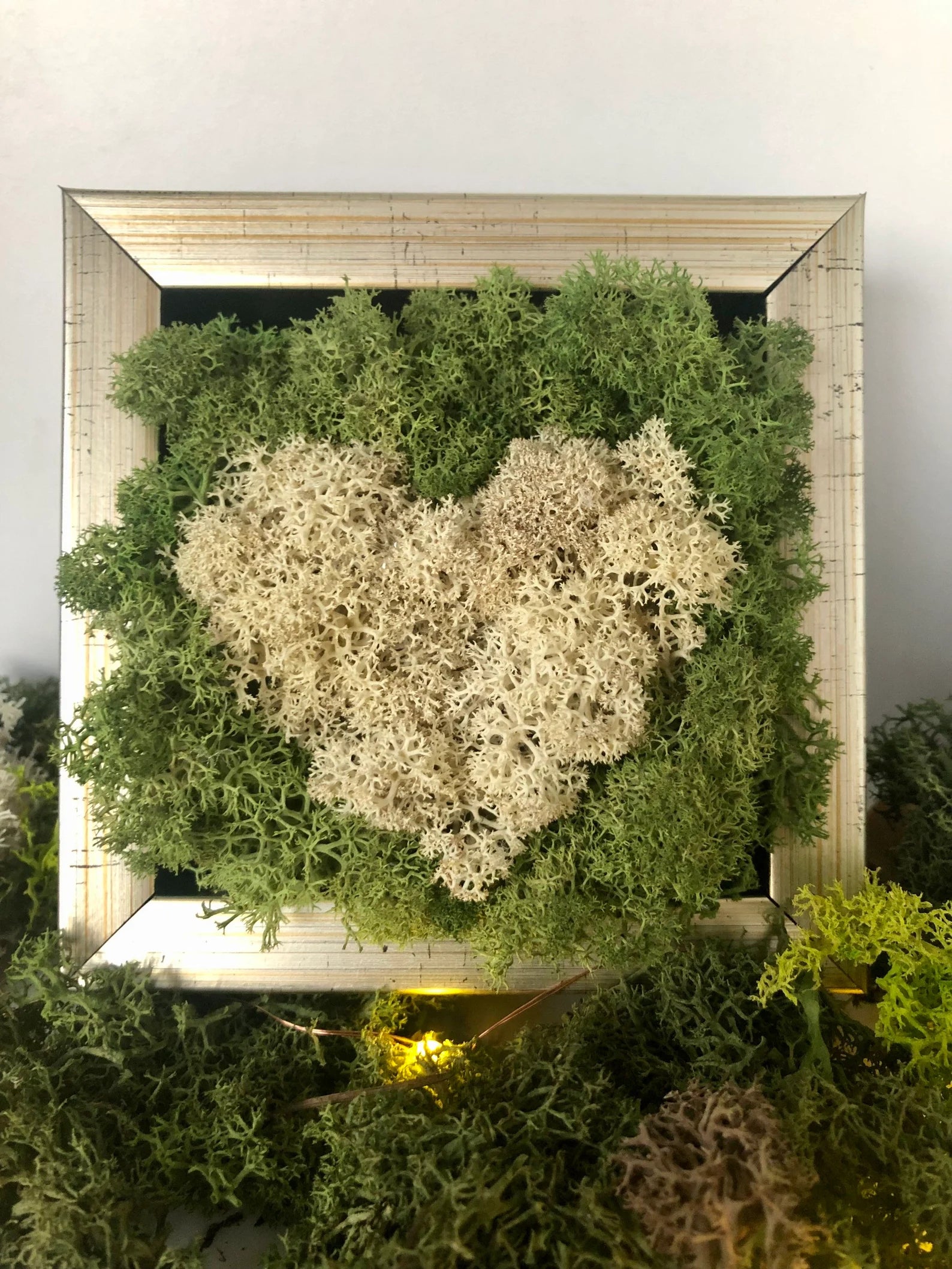 White Heart Moss Wall Art – Framed Preserved Reindeer Moss Décor, Unique Gift for Her