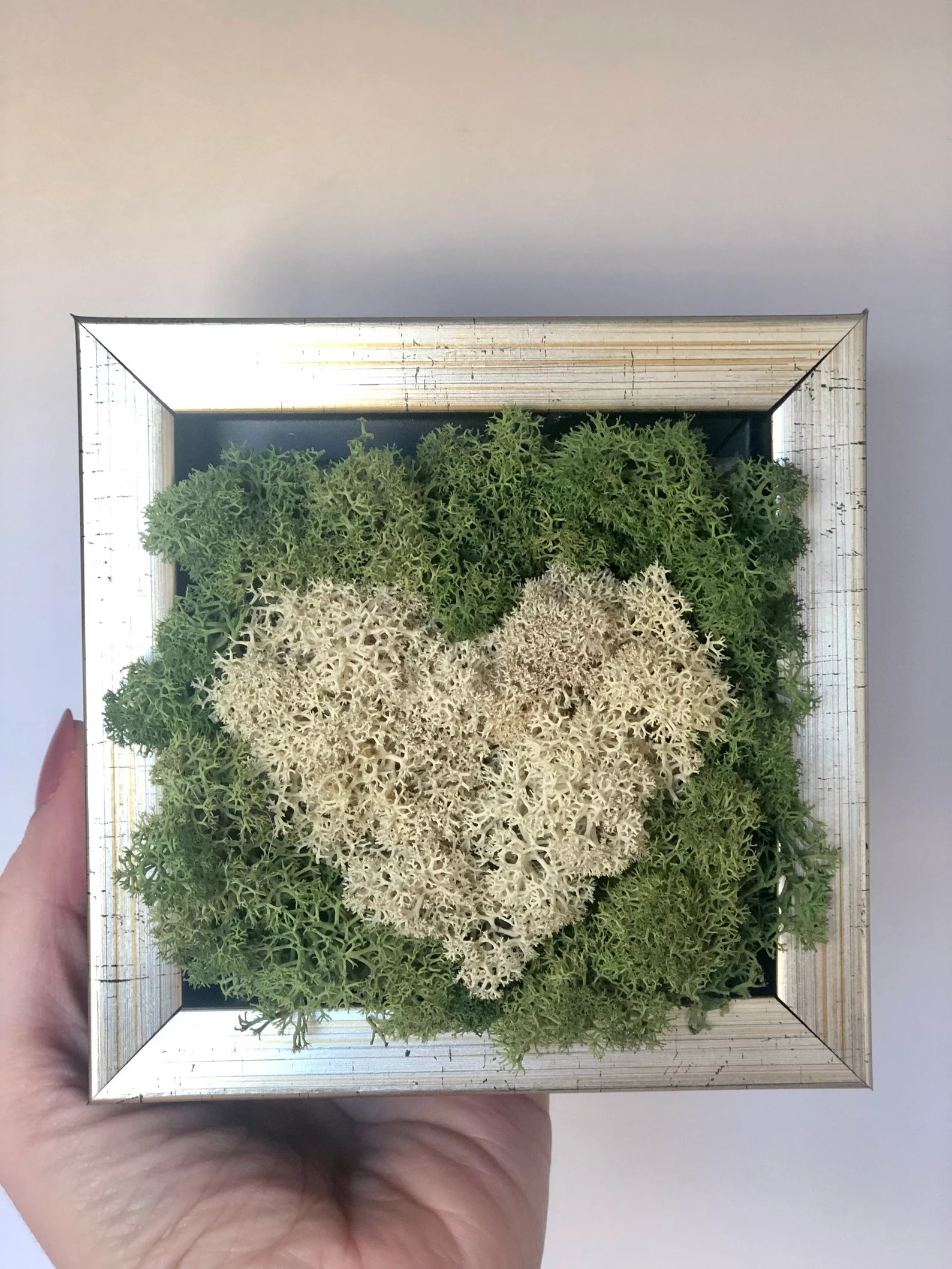 White Heart Moss Wall Art – Framed Preserved Reindeer Moss Décor, Unique Gift for Her
