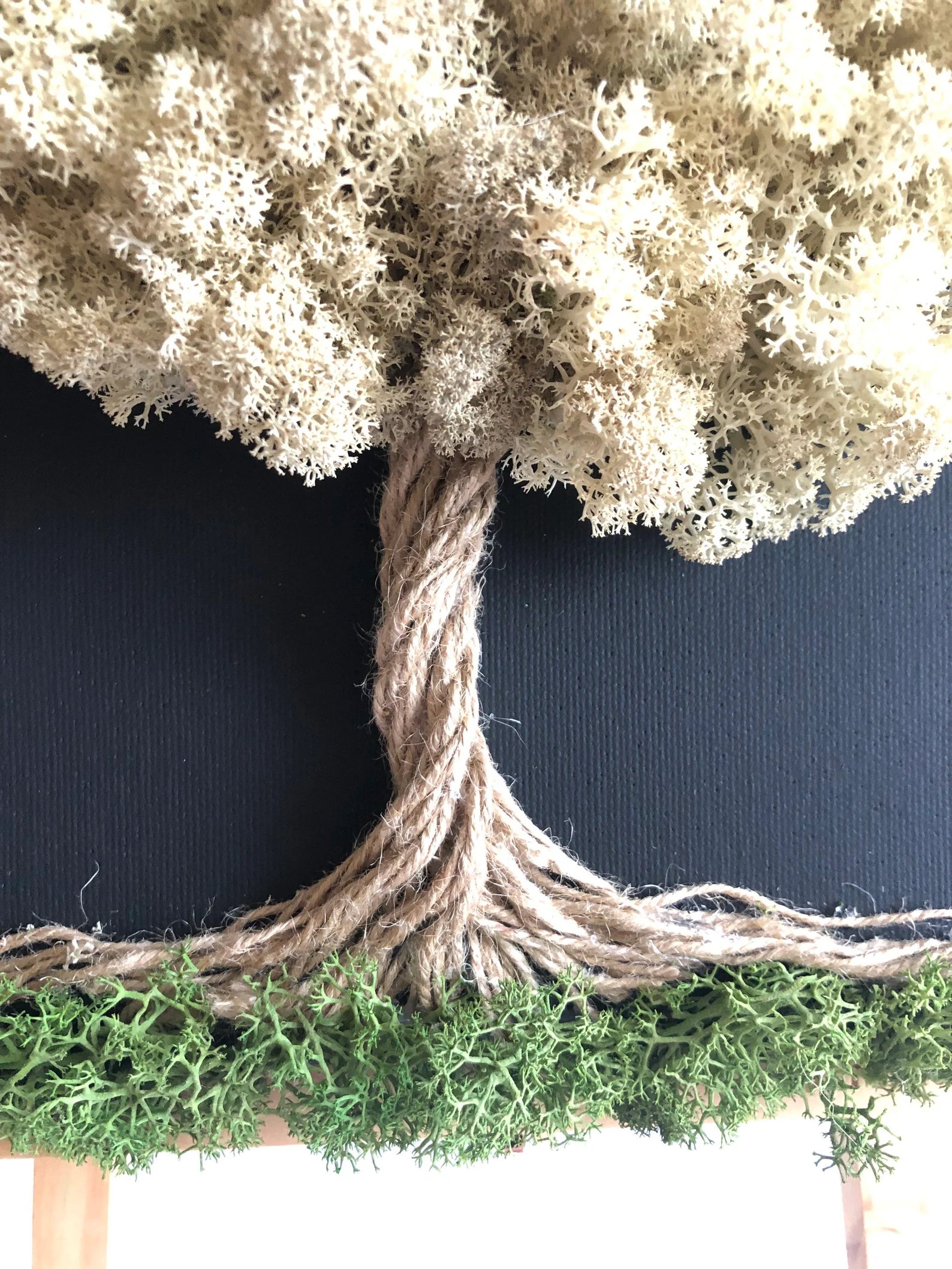 Calming Preserved Moss Wall Art: Nature Decor & Unique Gift for Plant Lovers