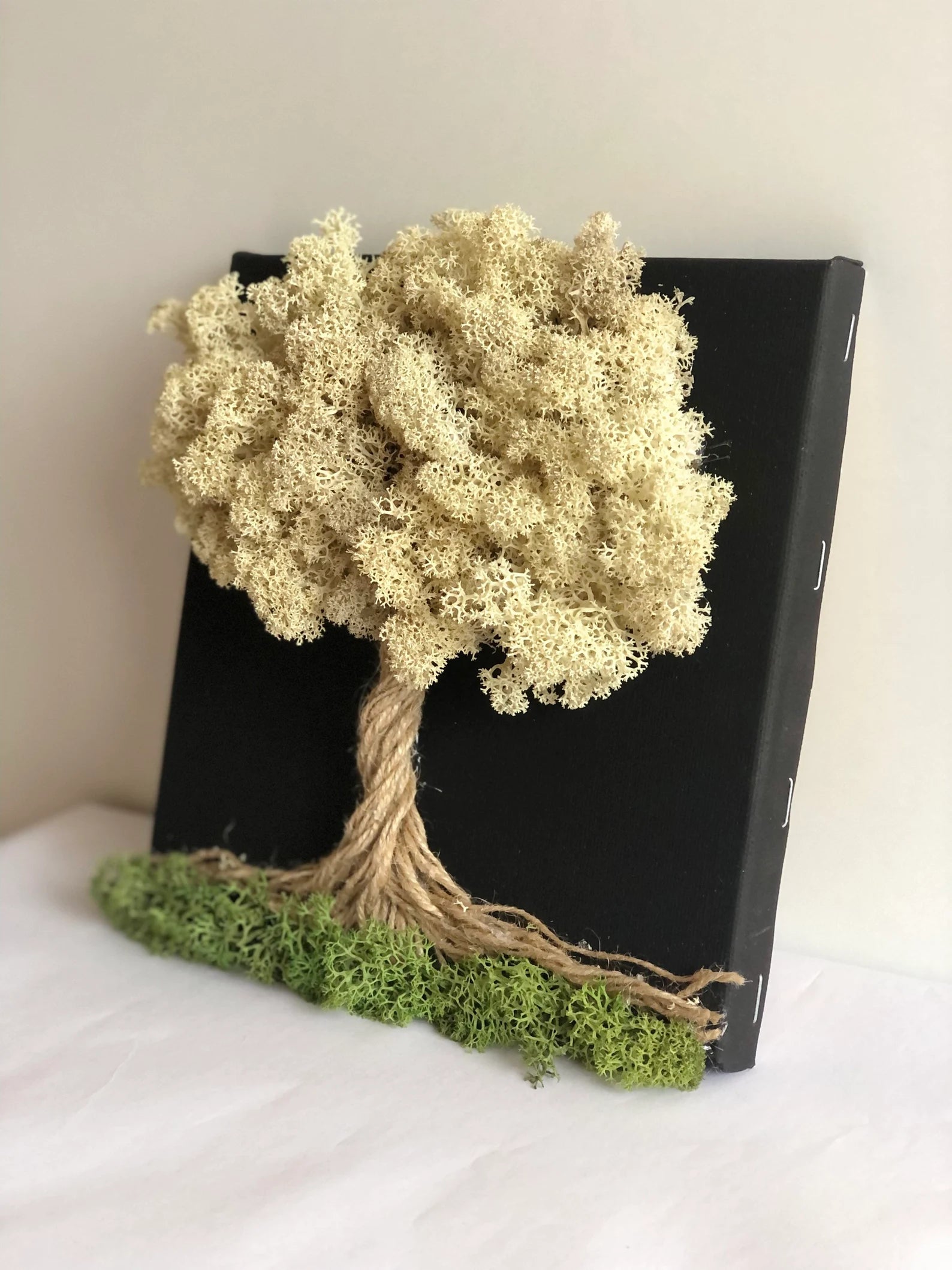 Calming Preserved Moss Wall Art: Nature Decor & Unique Gift for Plant Lovers