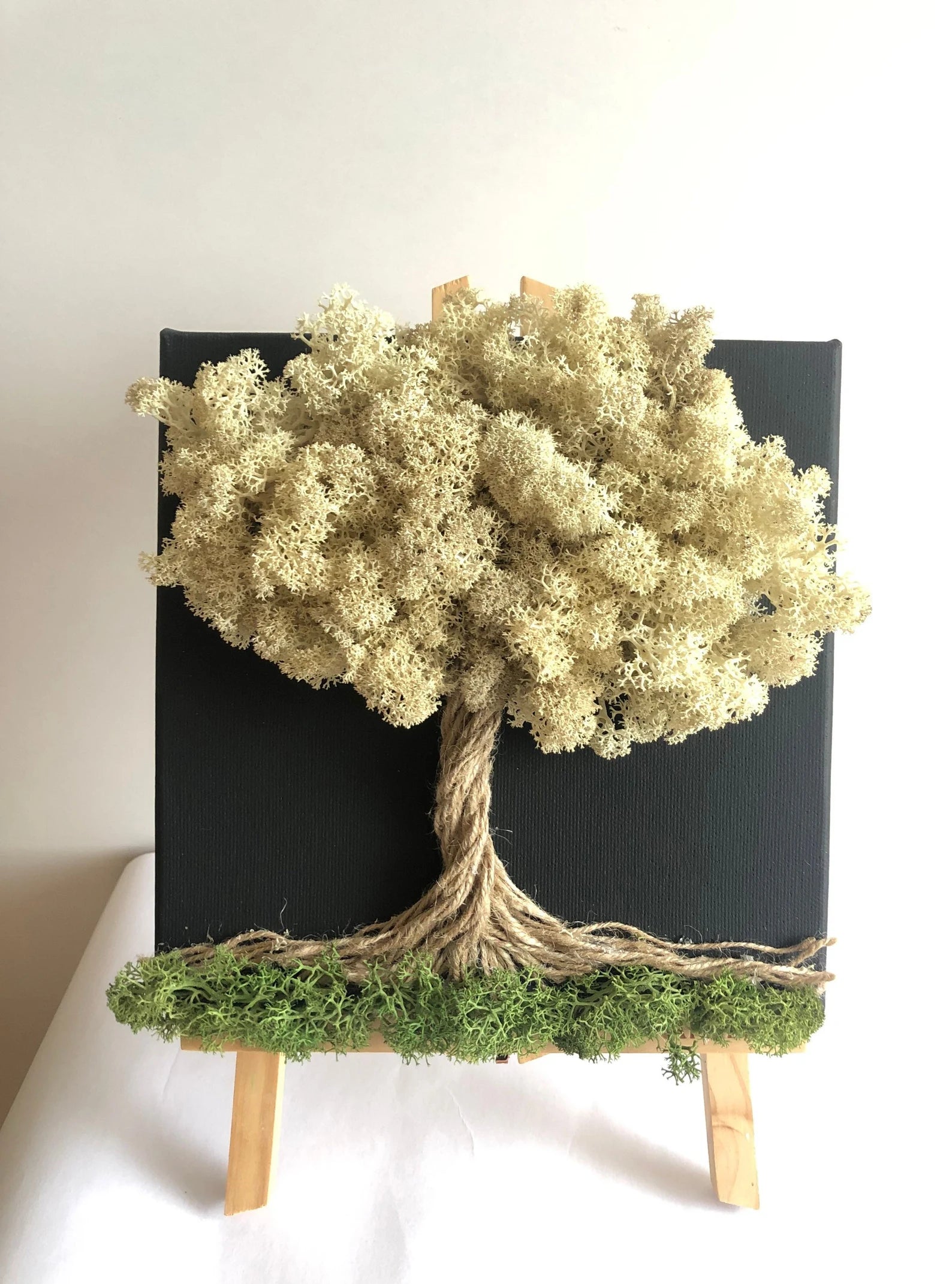 Calming Preserved Moss Wall Art: Nature Decor & Unique Gift for Plant Lovers