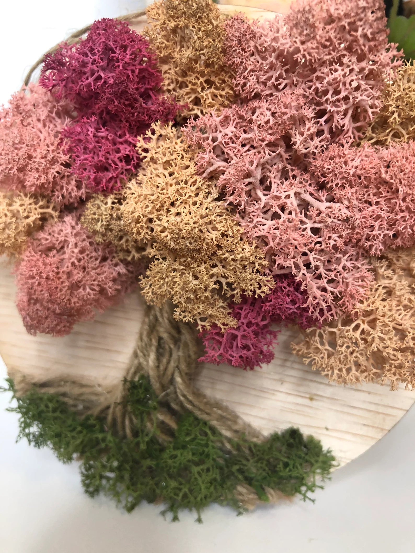 Moss Tree of Life Wall Decor – Sustainable Nature-Inspired Art