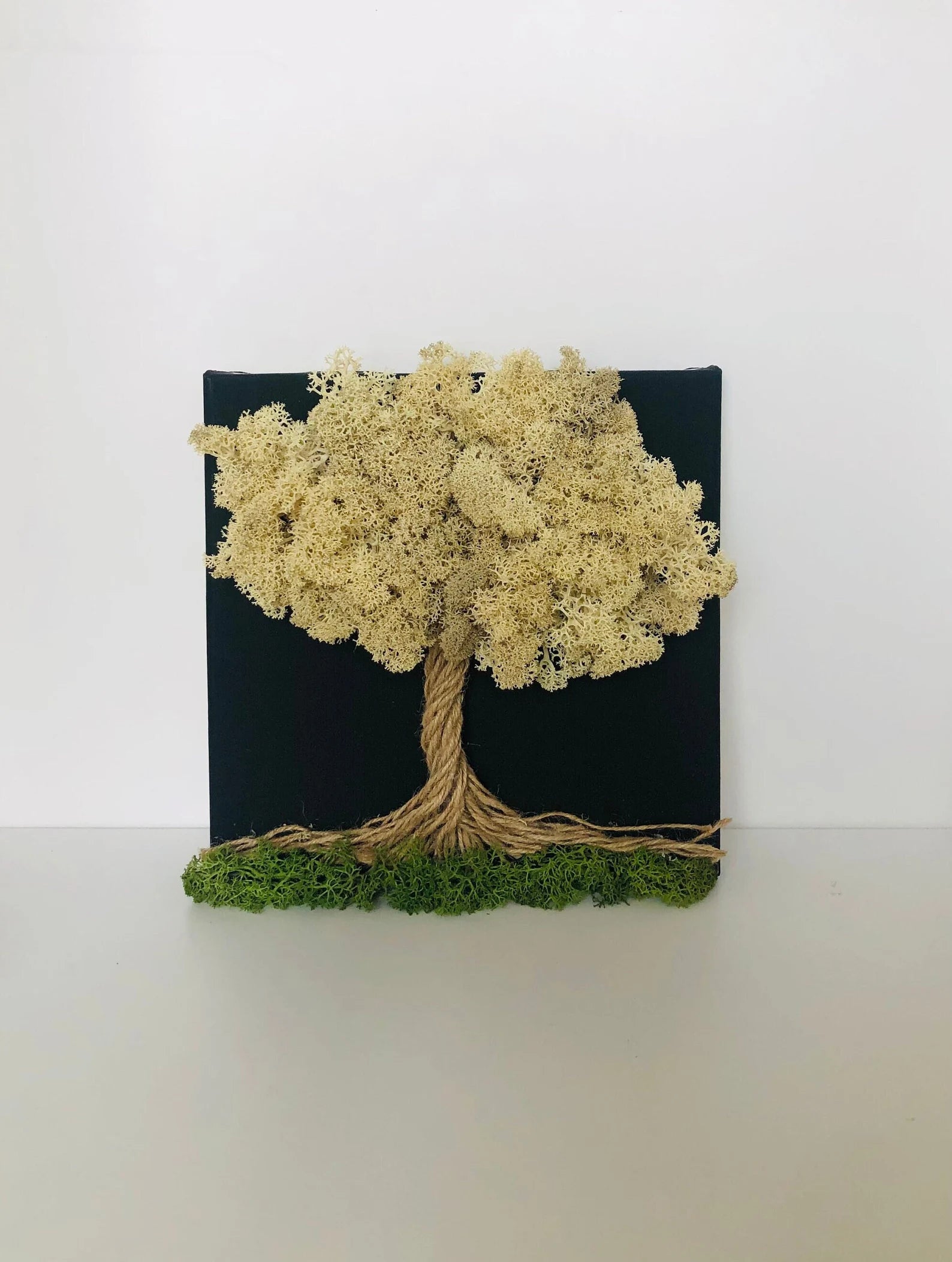 Calming Preserved Moss Wall Art: Nature Decor & Unique Gift for Plant Lovers