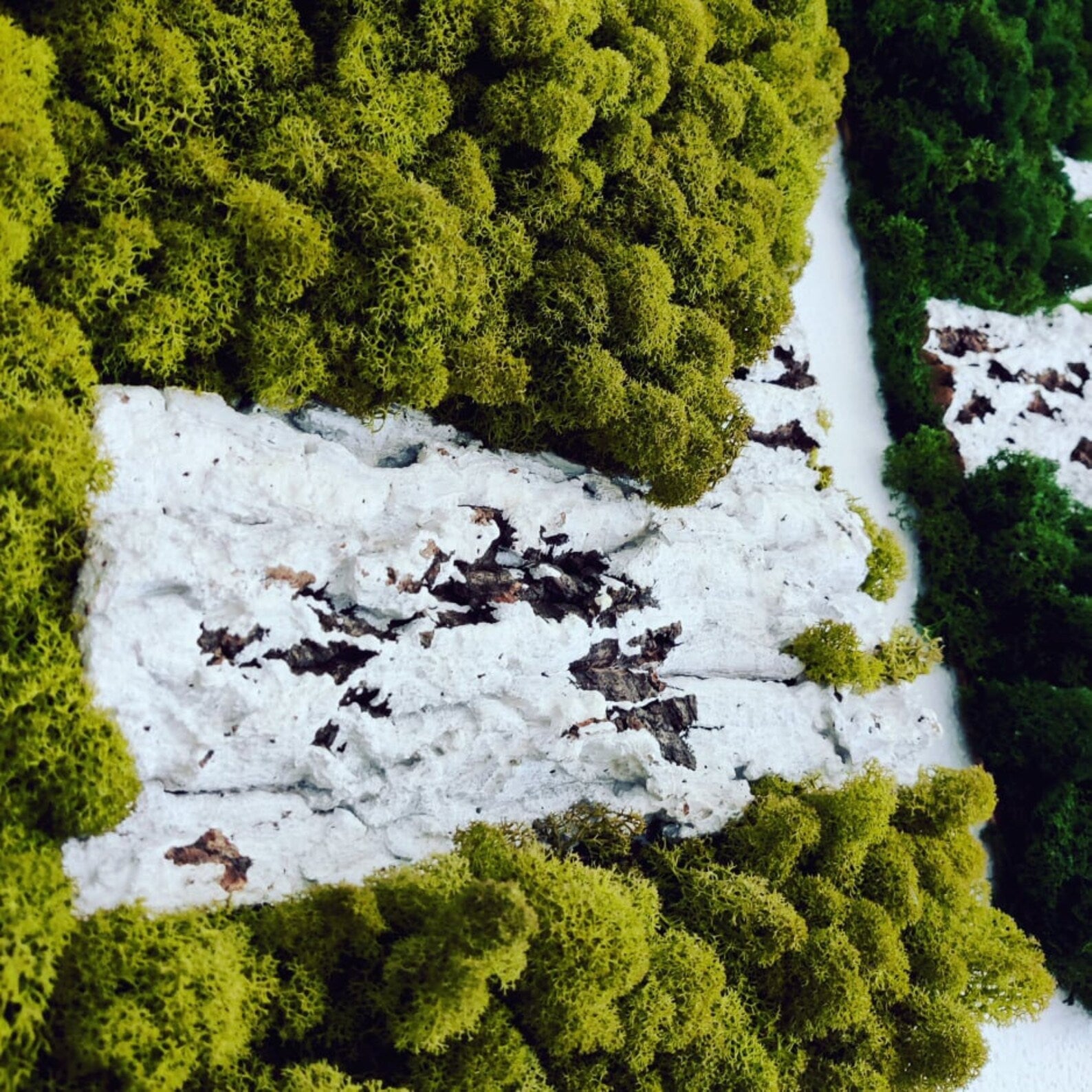 Moss Wall Art – Natural Preserved Moss for Modern Interiors