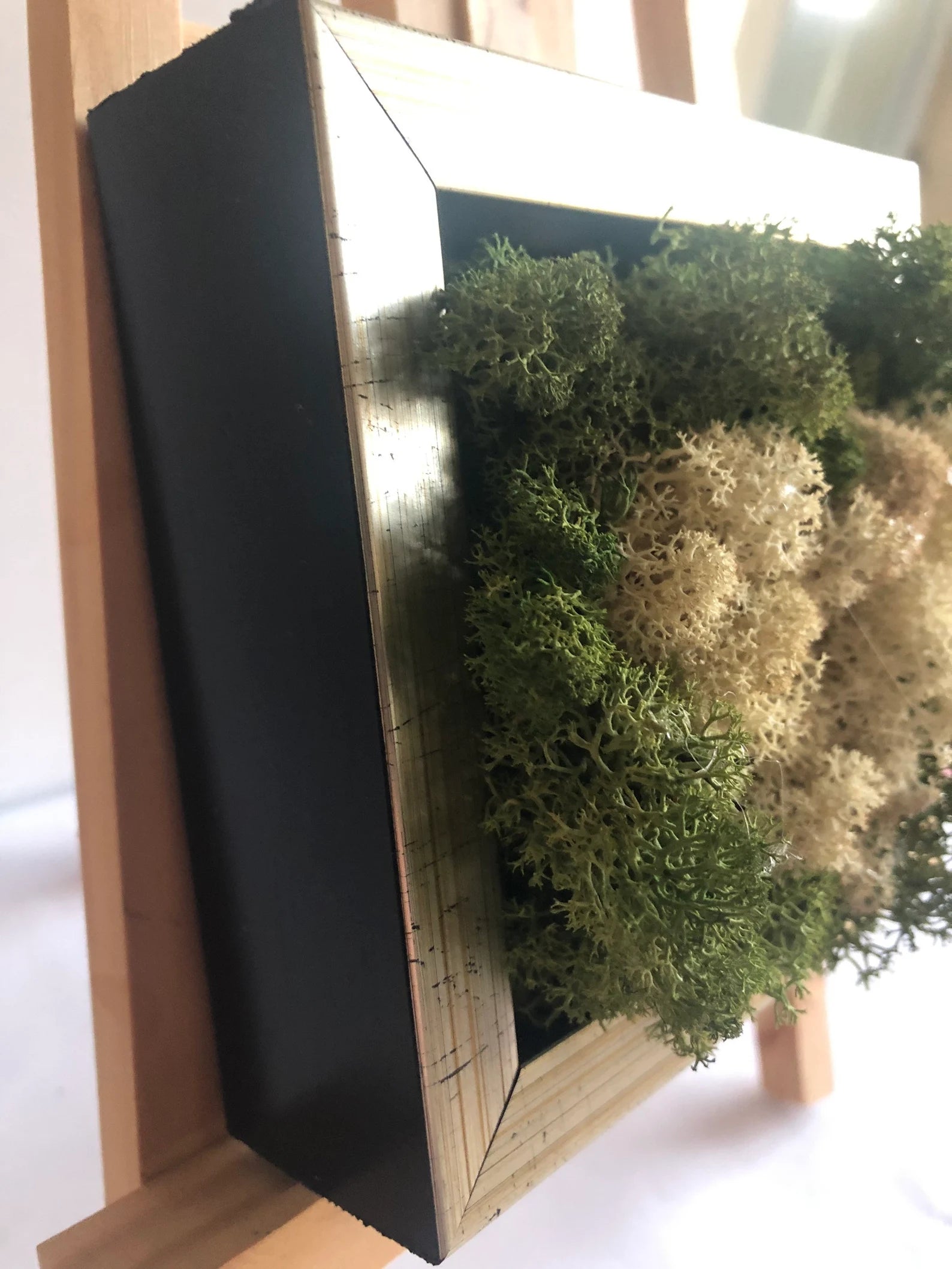 White Heart Moss Wall Art – Framed Preserved Reindeer Moss Décor, Unique Gift for Her