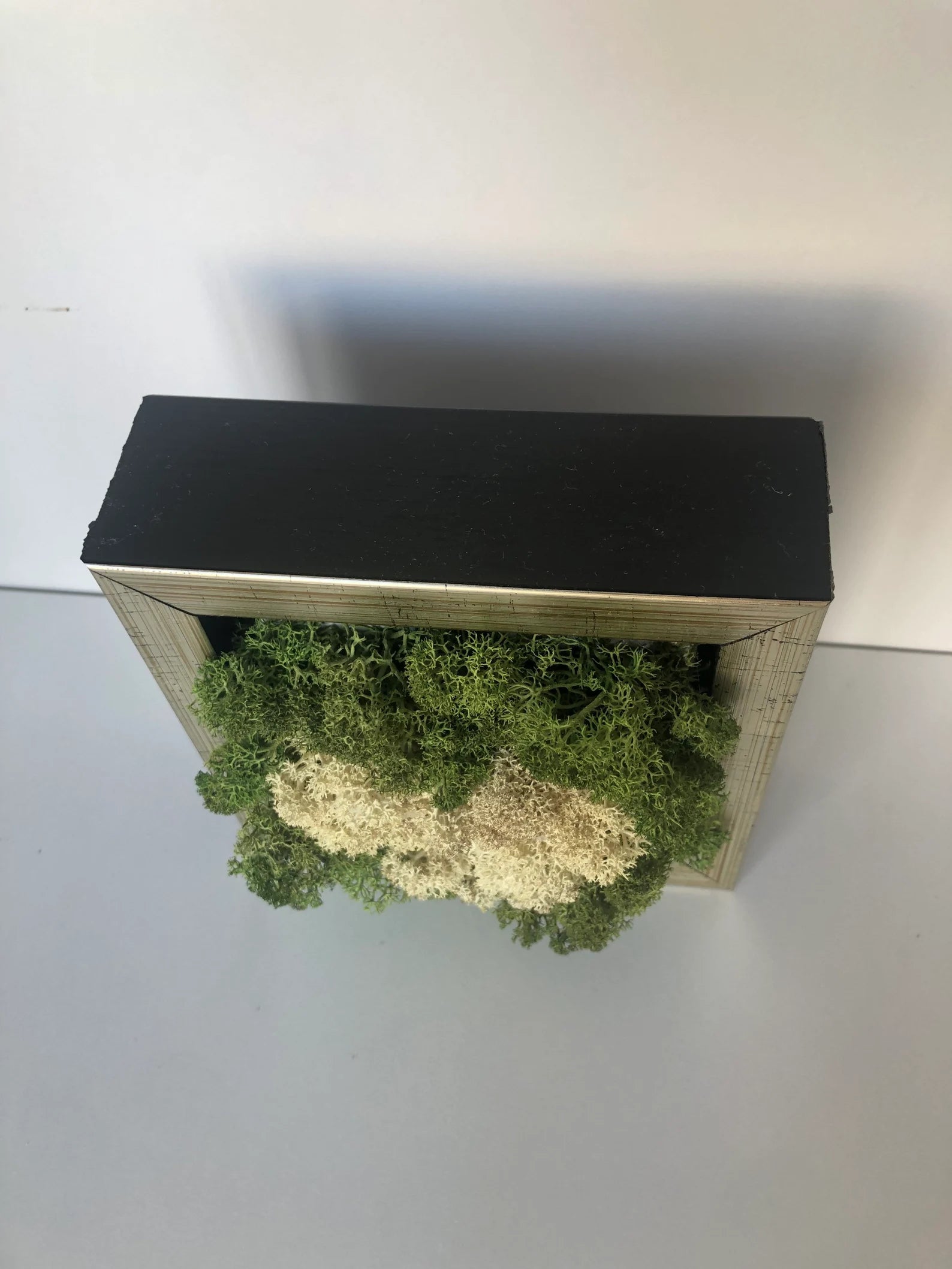 White Heart Moss Wall Art – Framed Preserved Reindeer Moss Décor, Unique Gift for Her