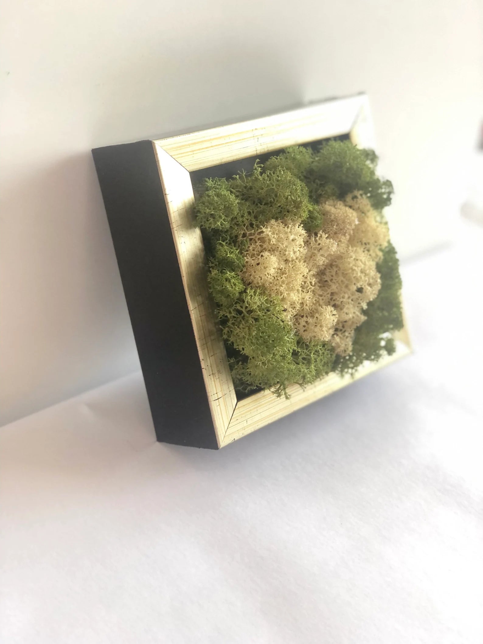 White Heart Moss Wall Art – Framed Preserved Reindeer Moss Décor, Unique Gift for Her