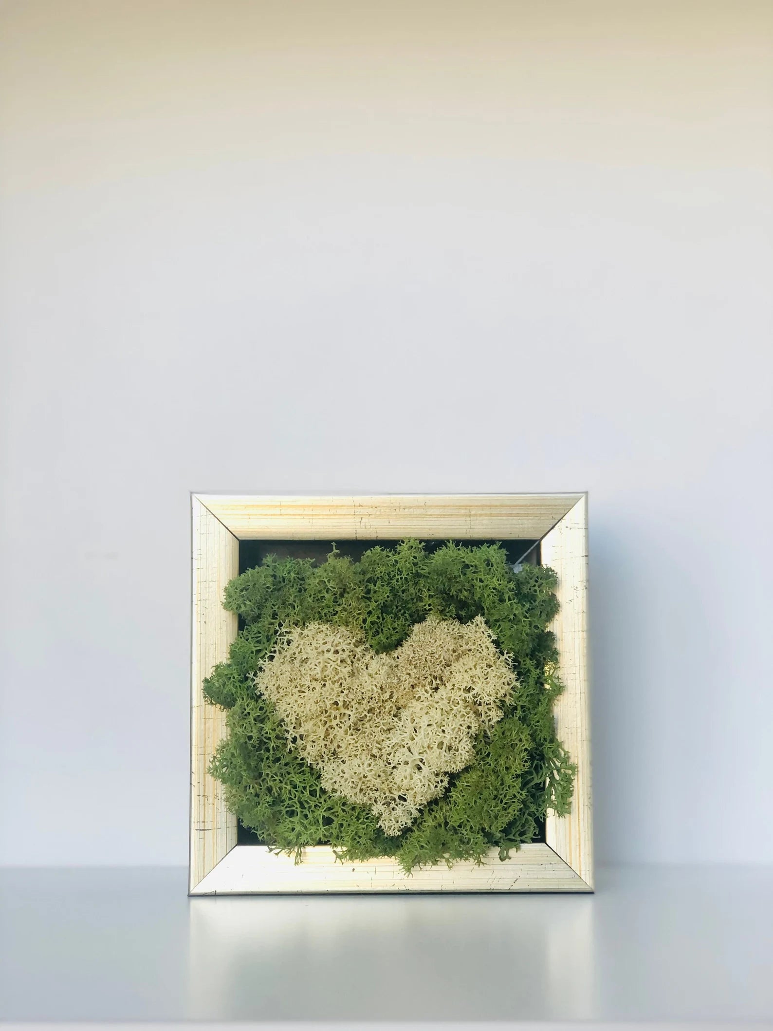 White Heart Moss Wall Art – Framed Preserved Reindeer Moss Décor, Unique Gift for Her
