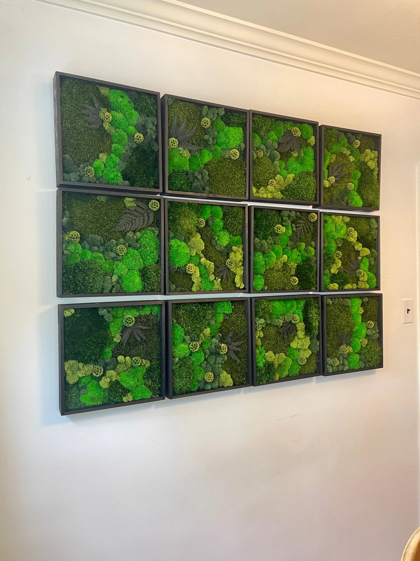 Moss Wall Art – Preserved Green Moss in 12” Wood Frame | Single or Set of 12