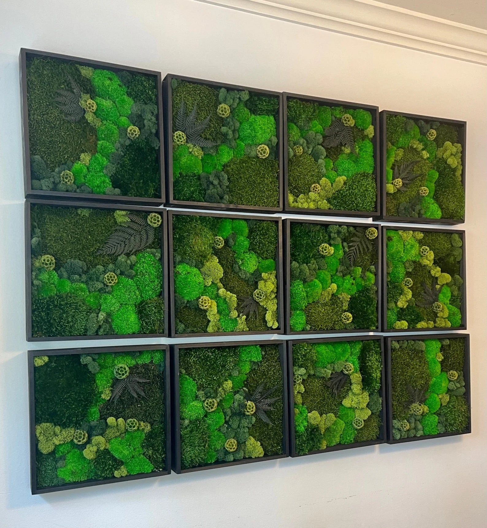 Moss Wall Art – Preserved Green Moss in 12” Wood Frame | Single or Set of 12