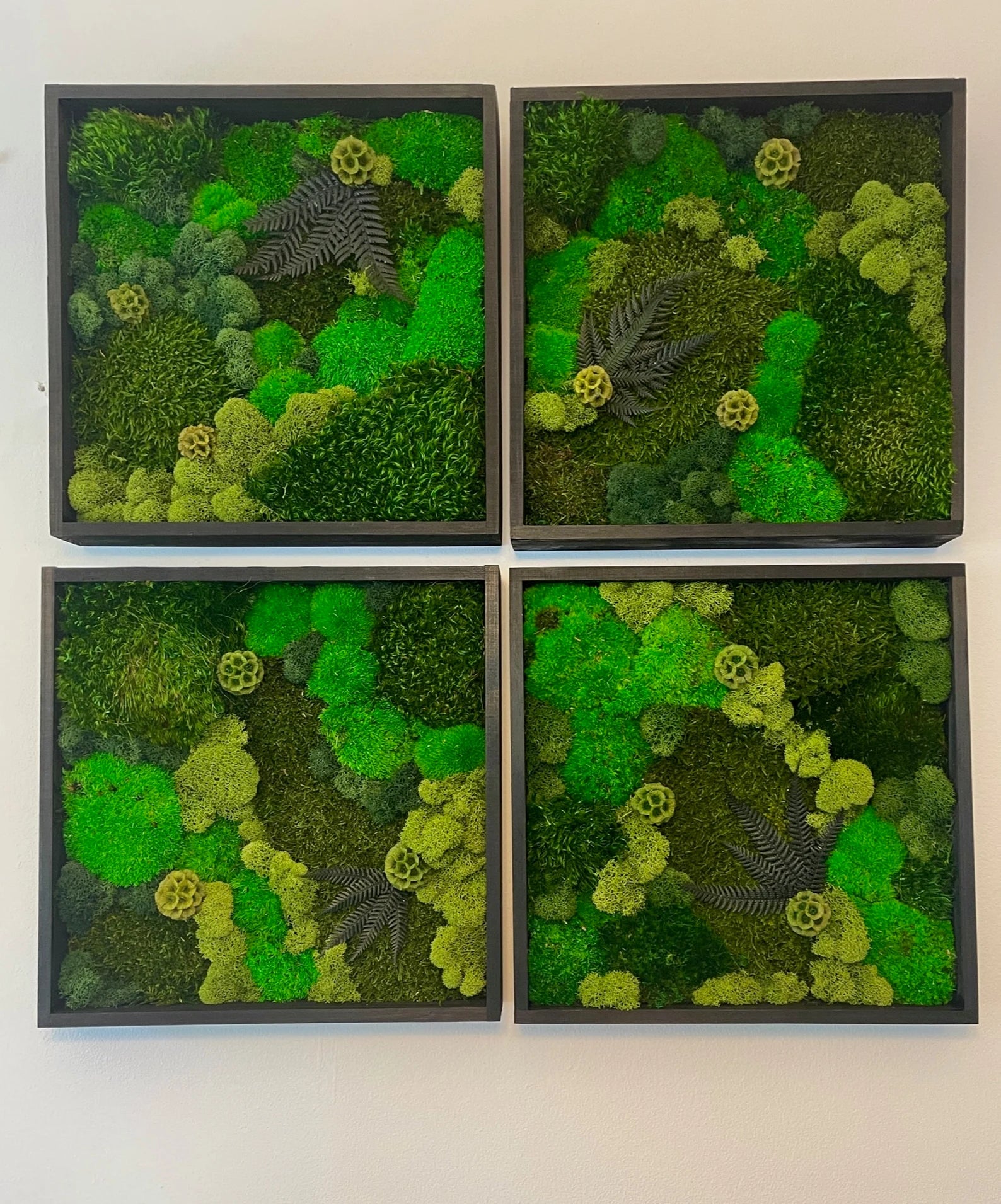 Moss Wall Art – Preserved Green Moss in 12” Wood Frame | Single or Set of 12