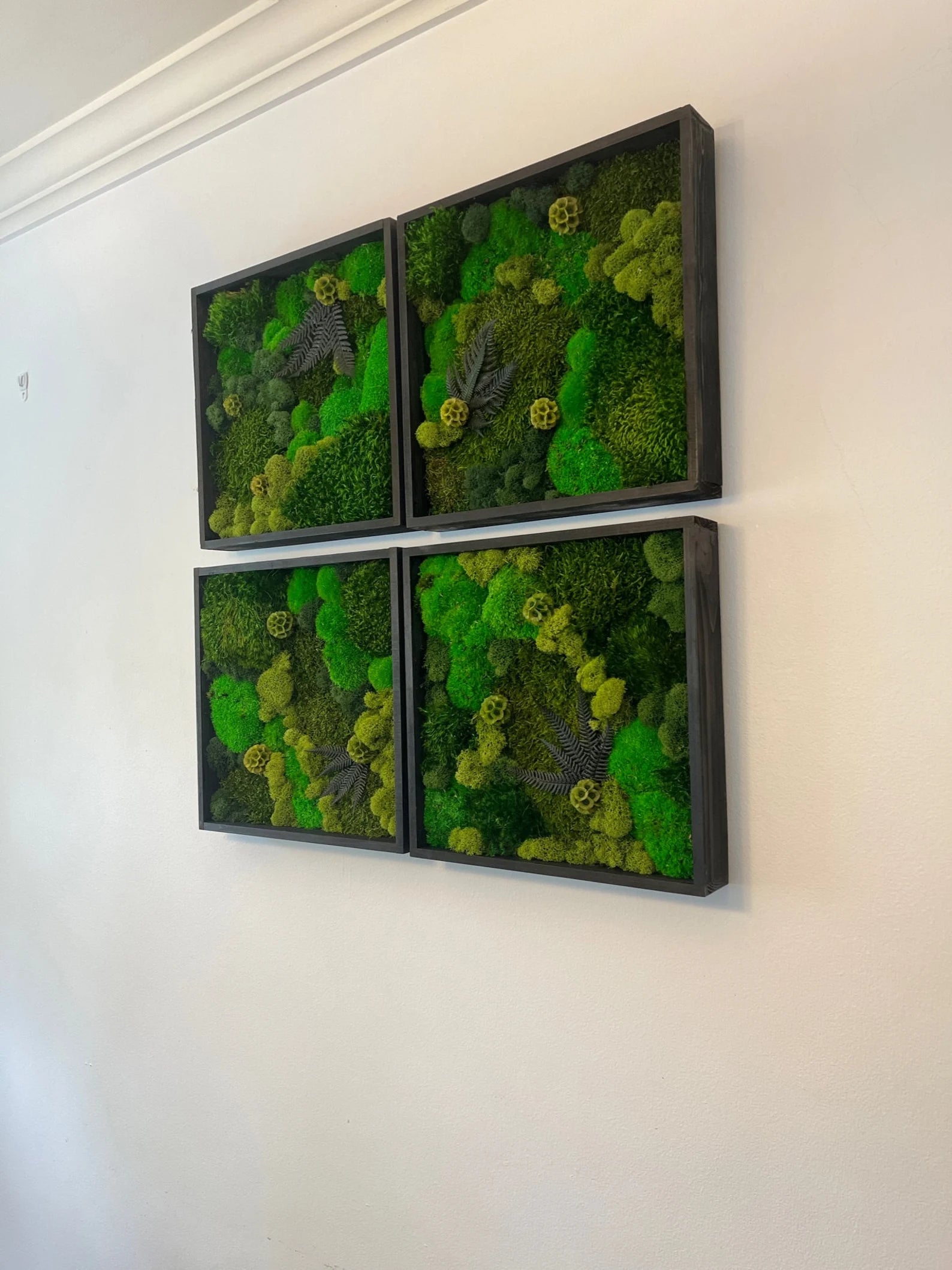 Moss Wall Art – Preserved Green Moss in 12” Wood Frame | Single or Set of 12