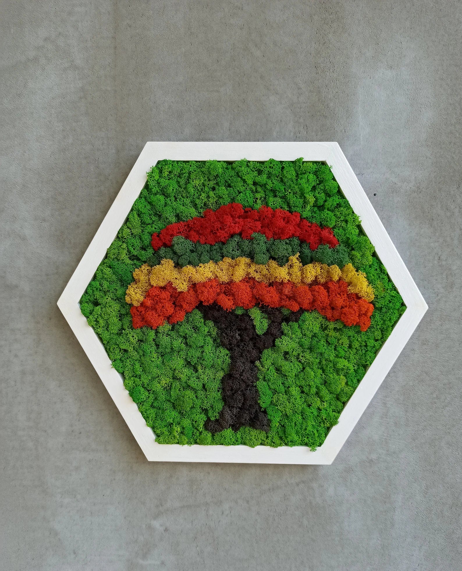 Honeycomb Moss Frame Set – Baby Room Wall Art Balloon